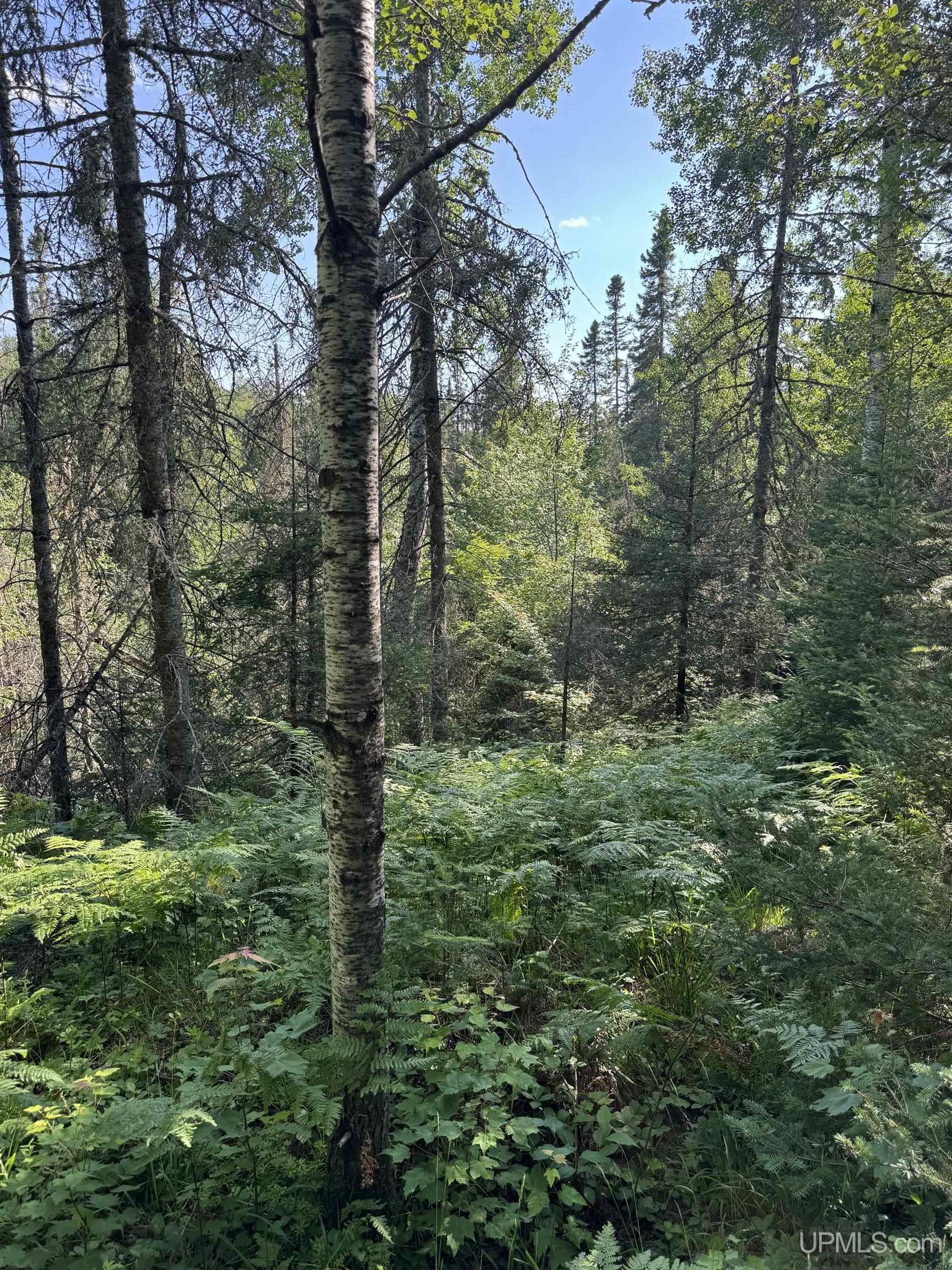 property viewer photo 4