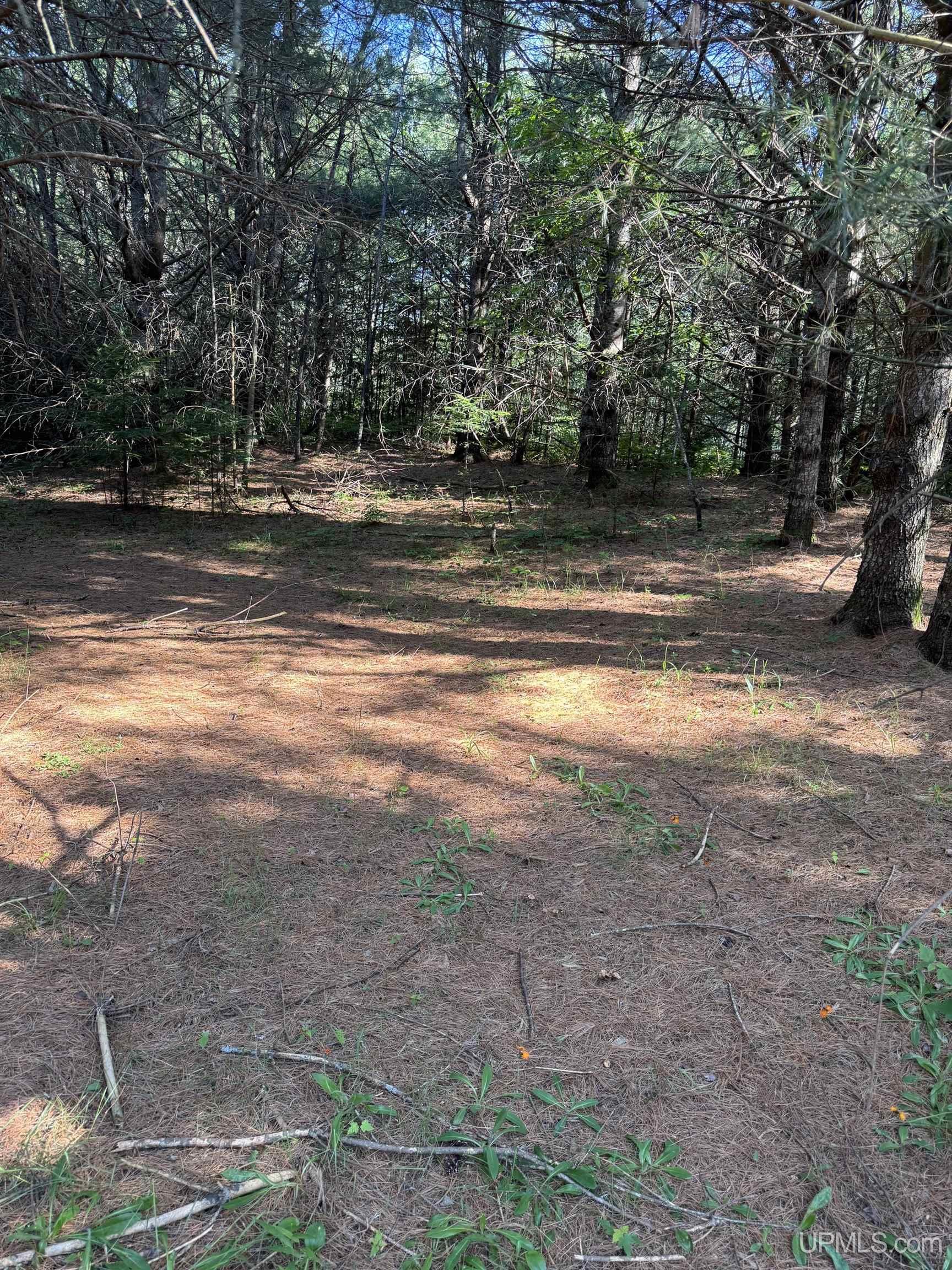property viewer photo 5