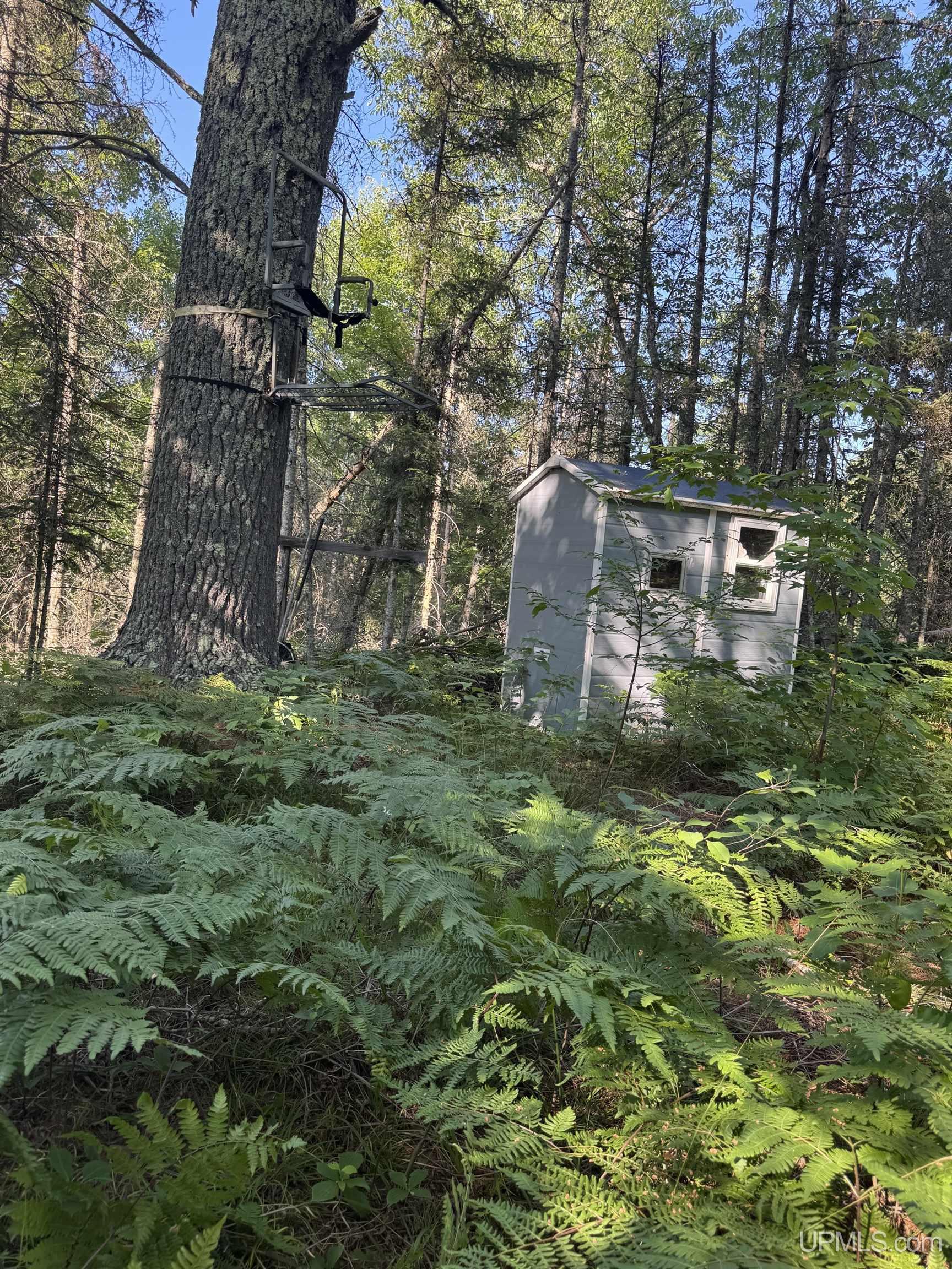 property viewer photo 8