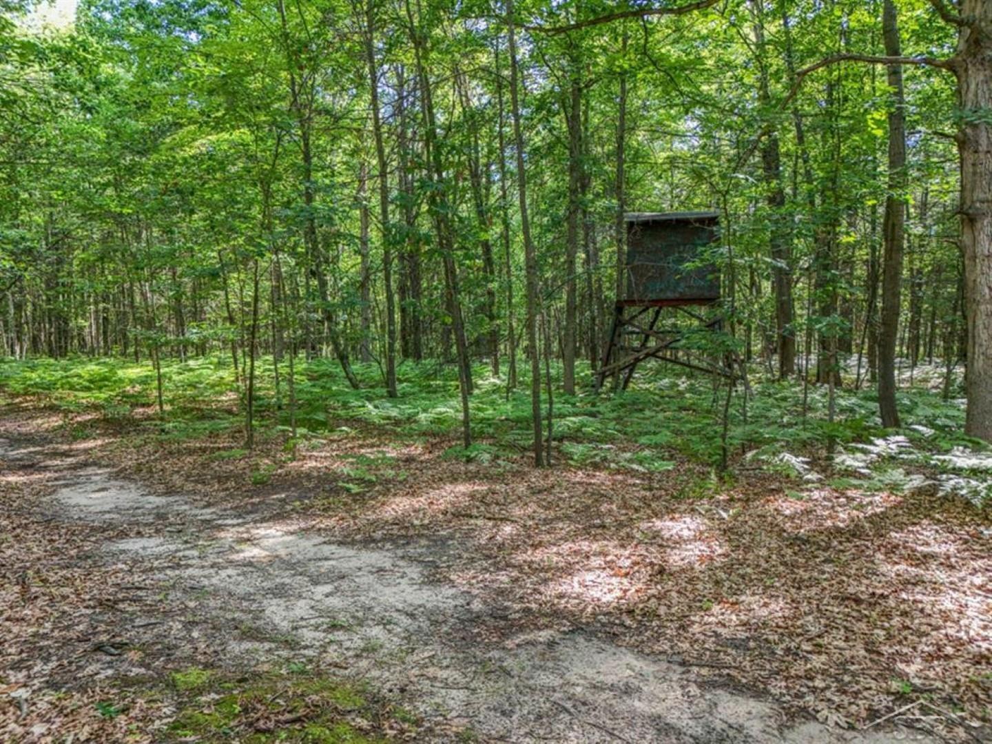 main property photo 42