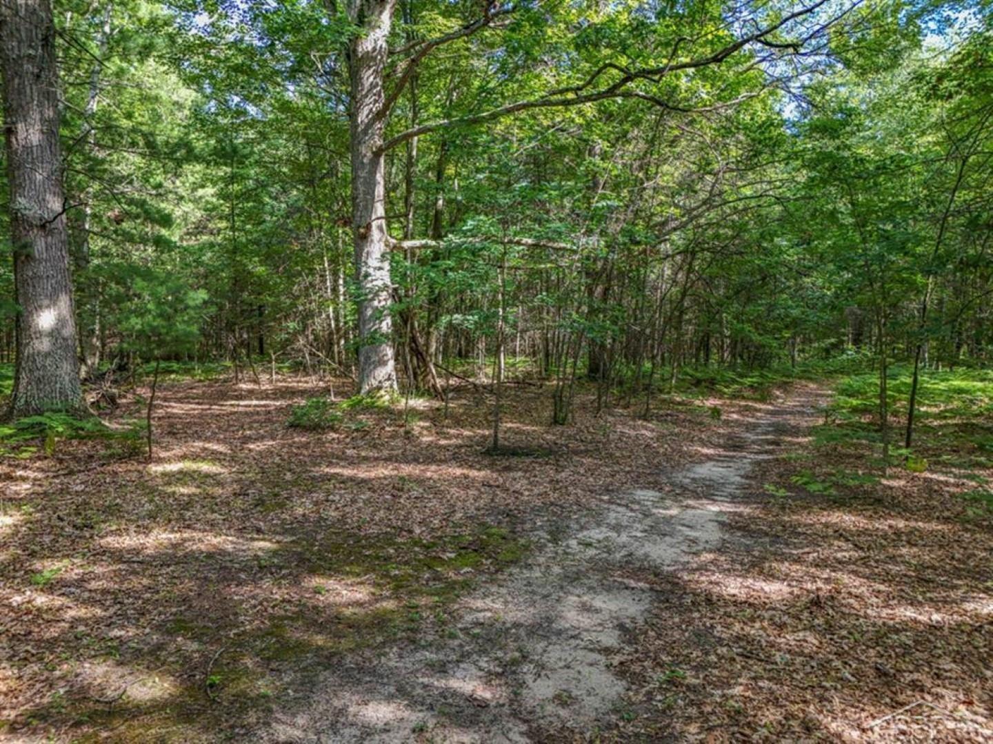 main property photo 47