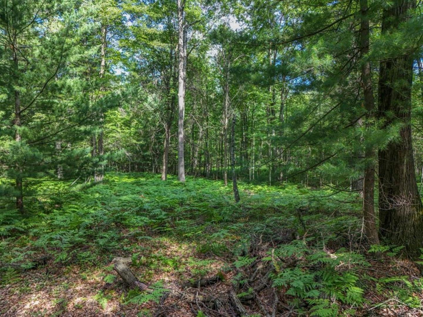 main property photo 50
