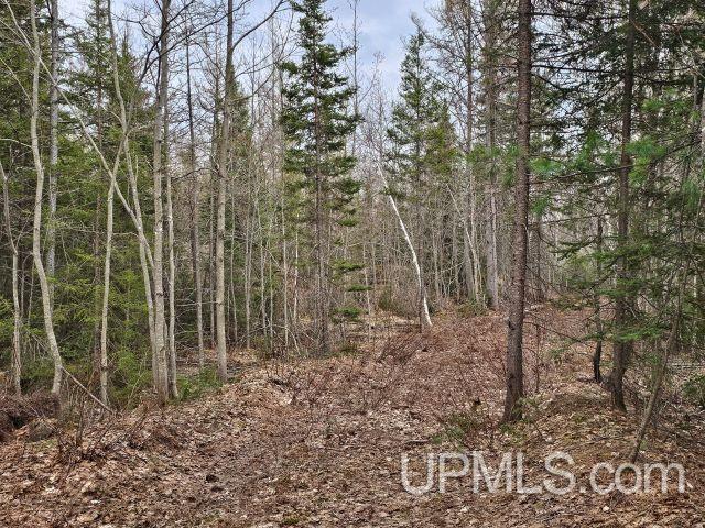 main property photo 0