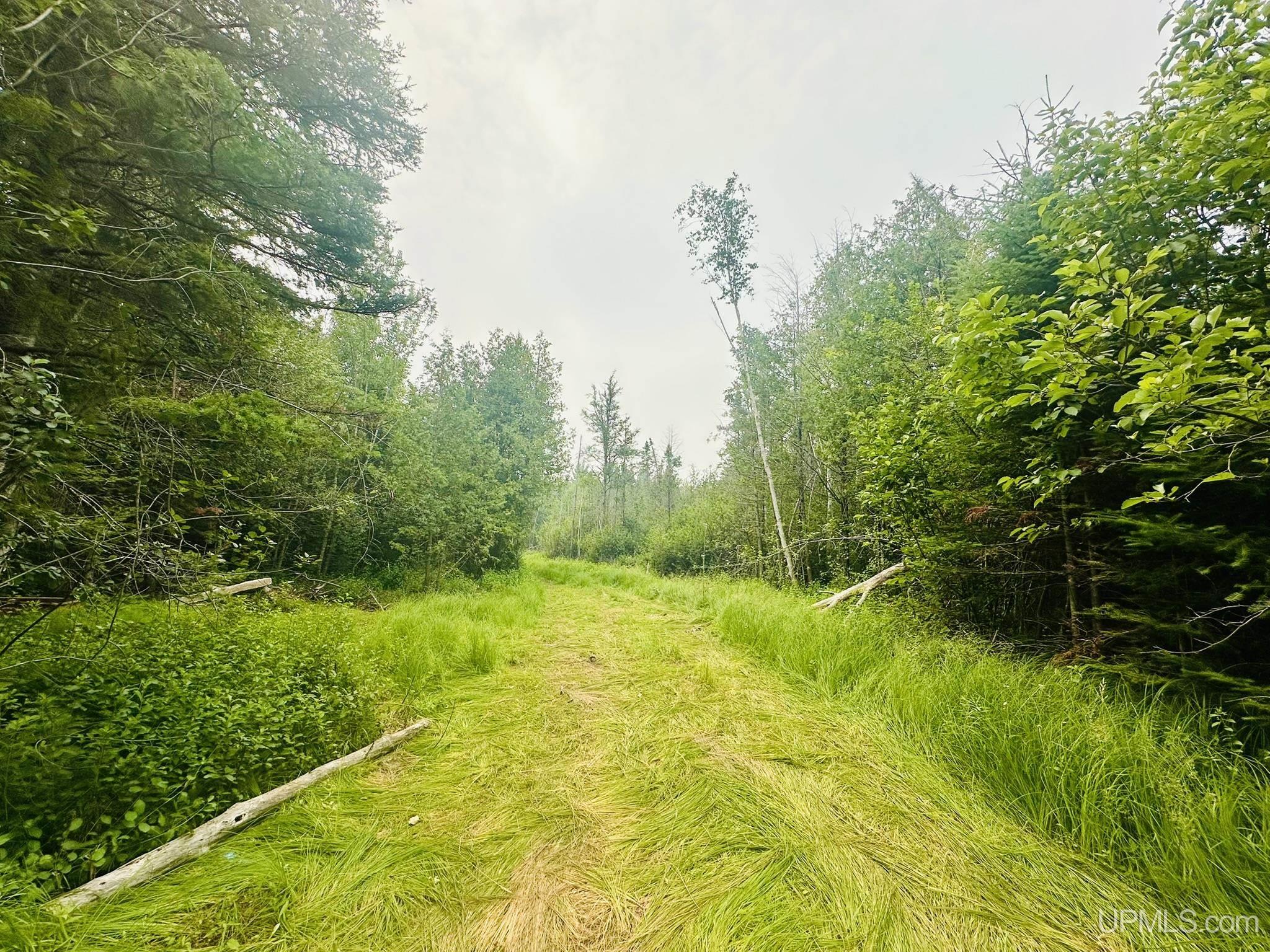 main property photo 0