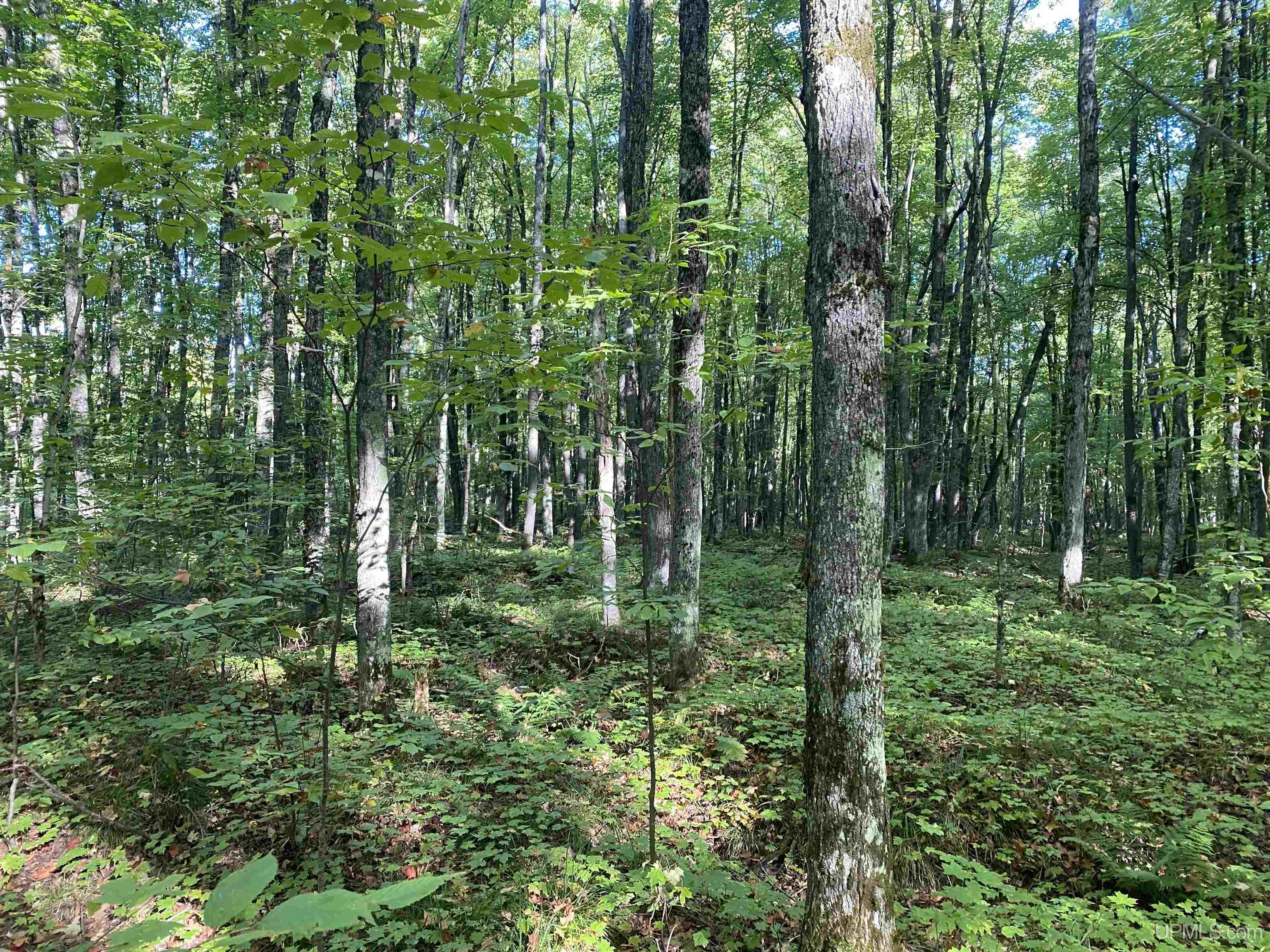 main property photo 13