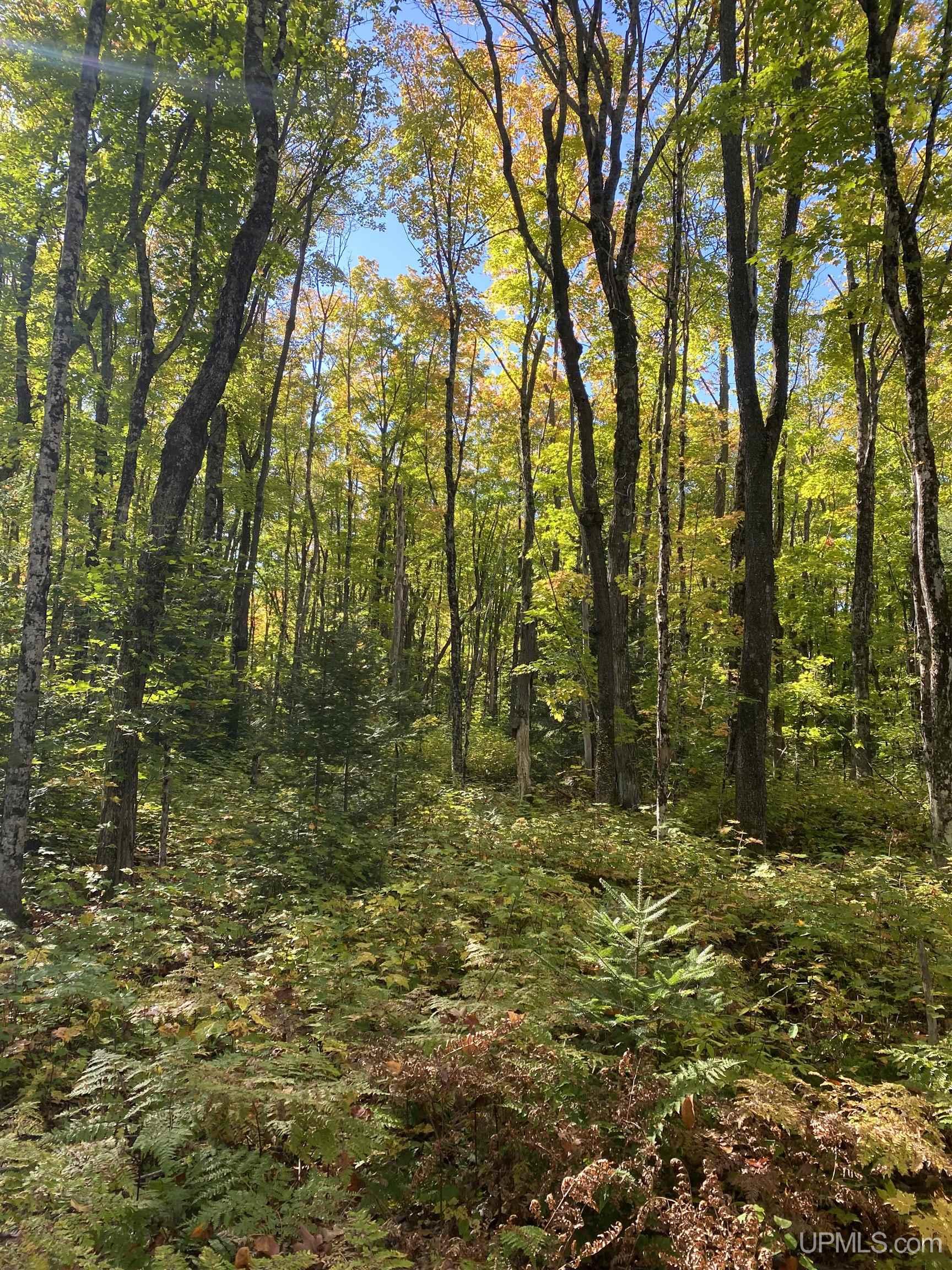 main property photo 30