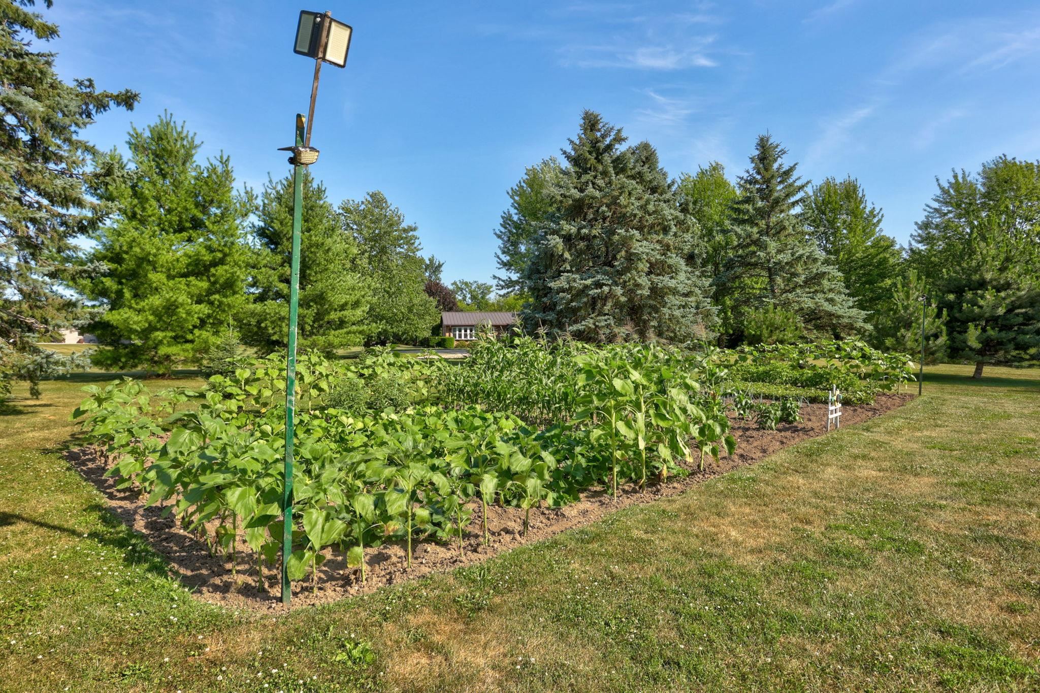 main property photo 55