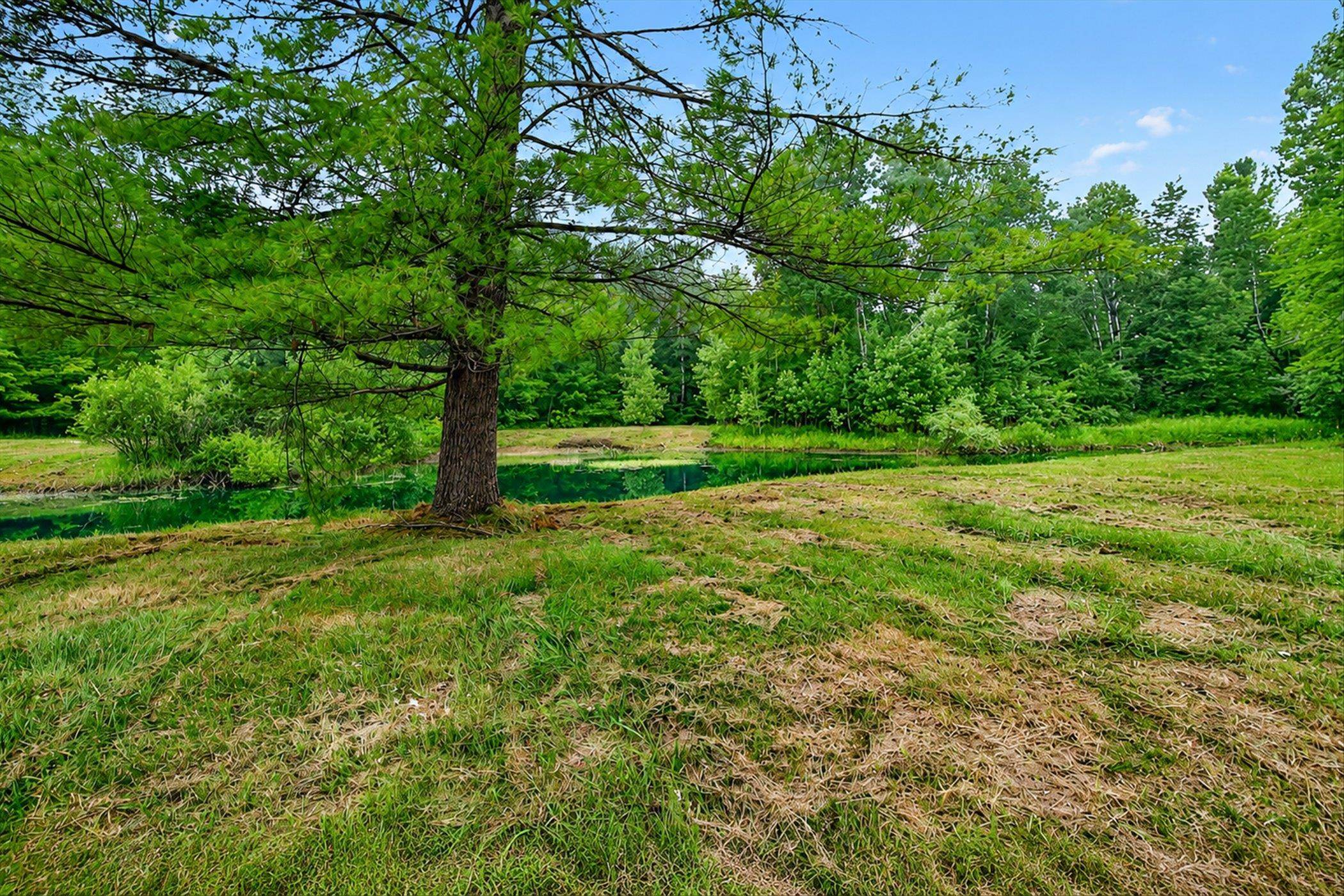main property photo 53