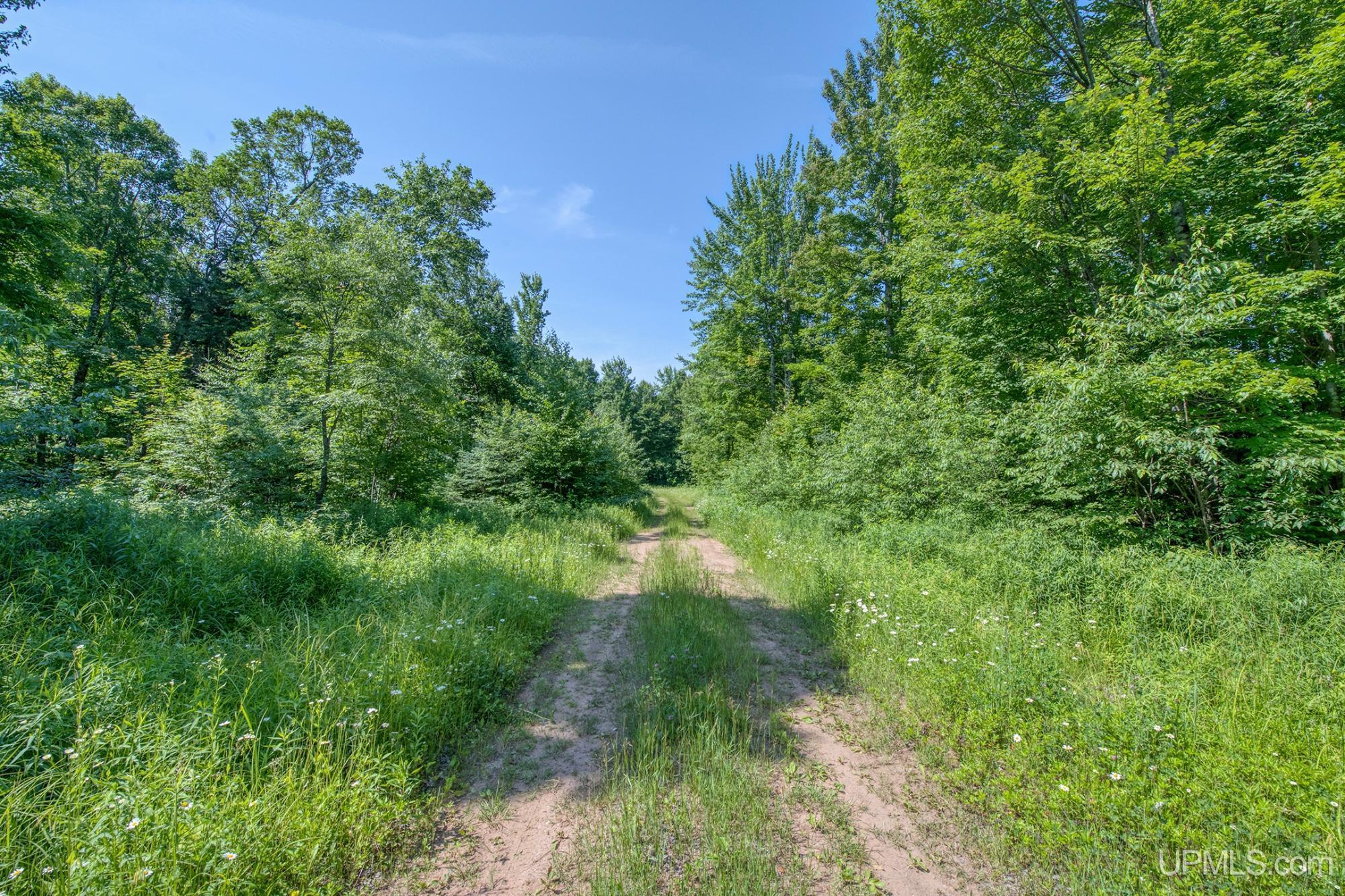 main property photo 29