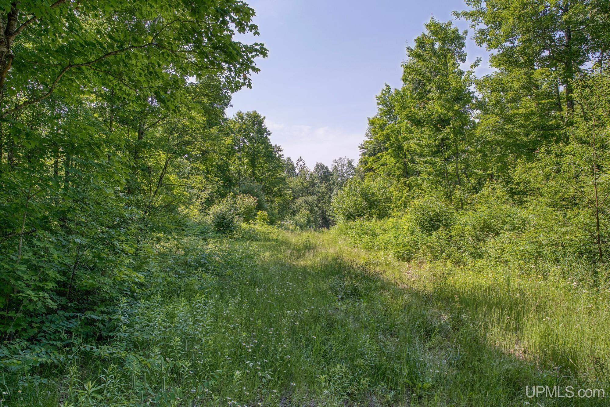 main property photo 30