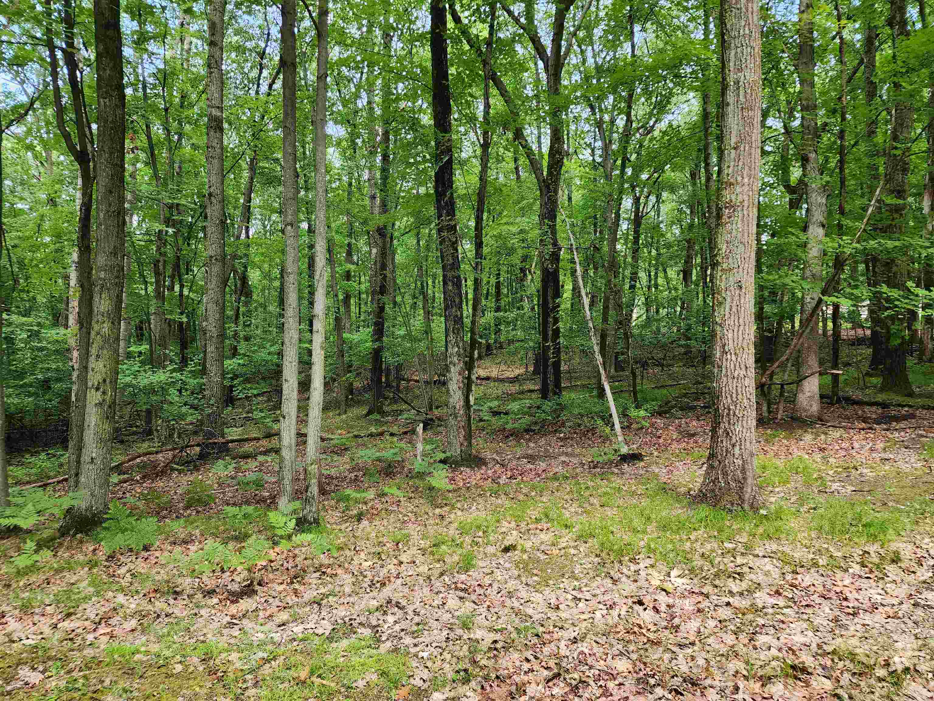 main property photo 7