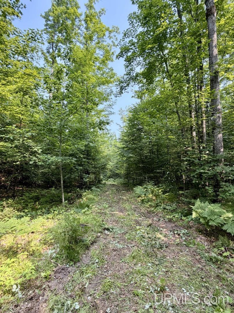 main property photo 47