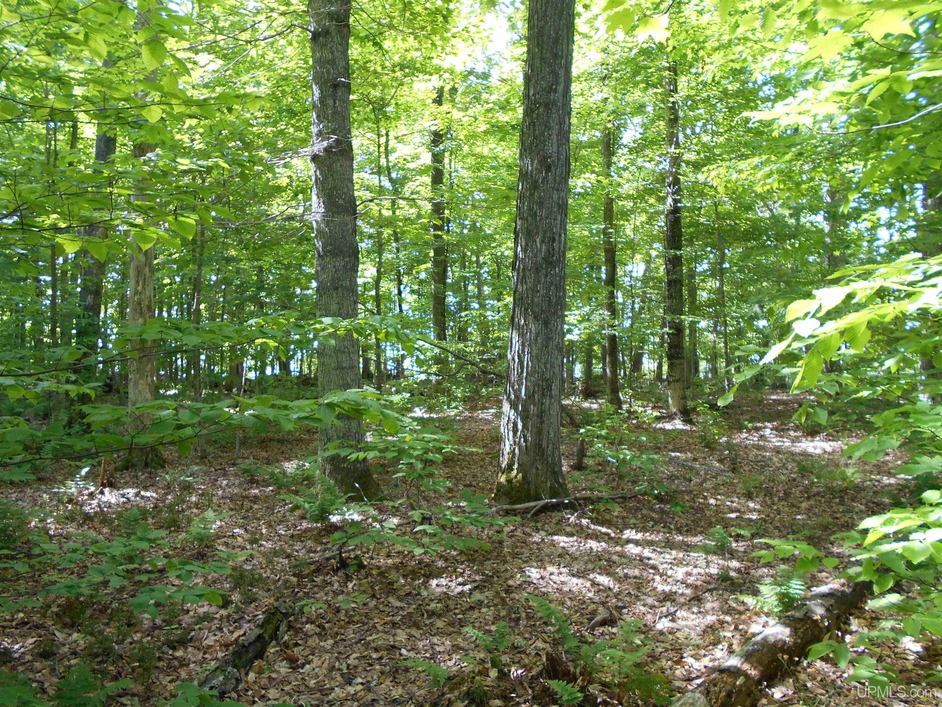 main property photo 21