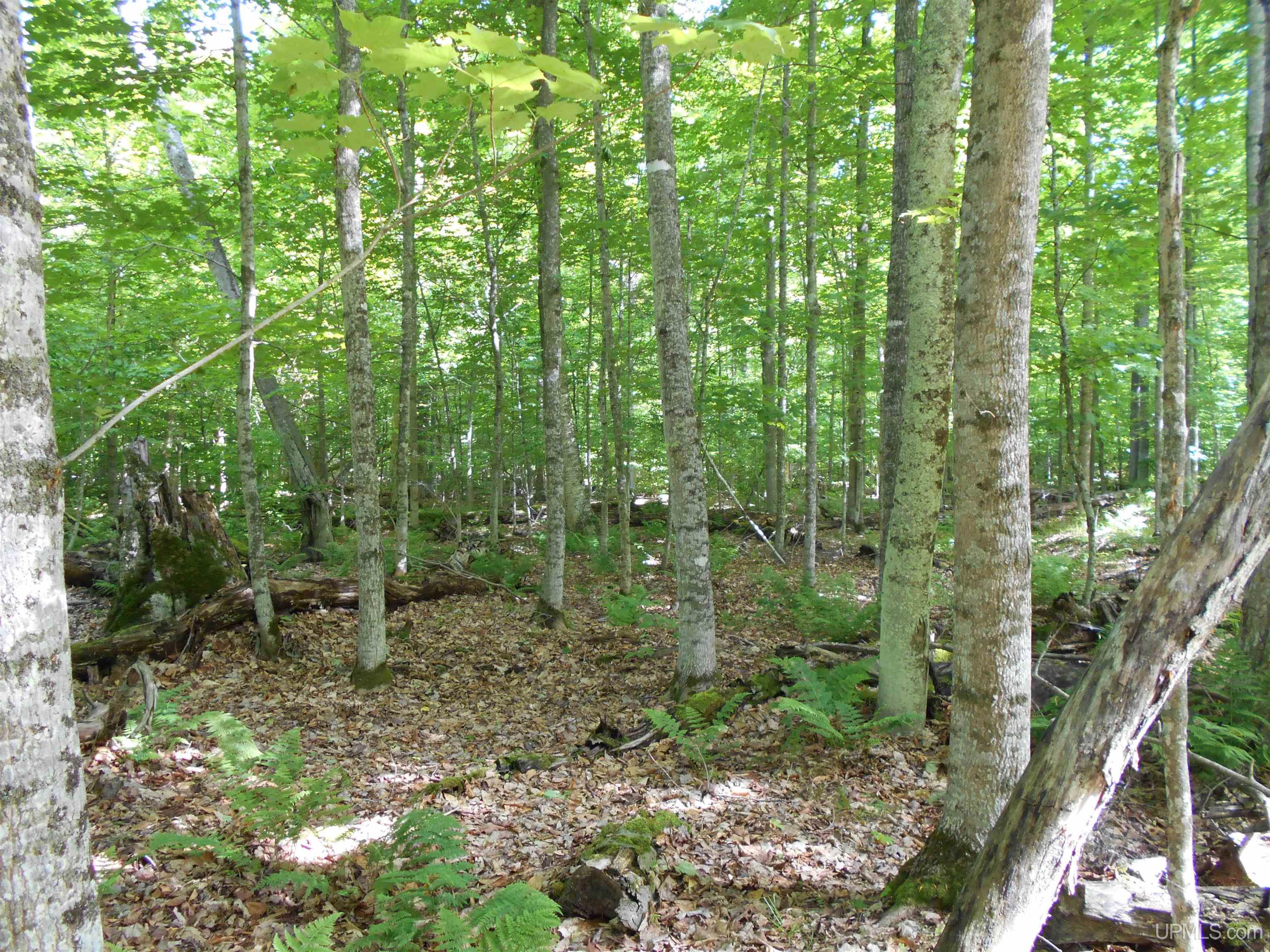 main property photo 18
