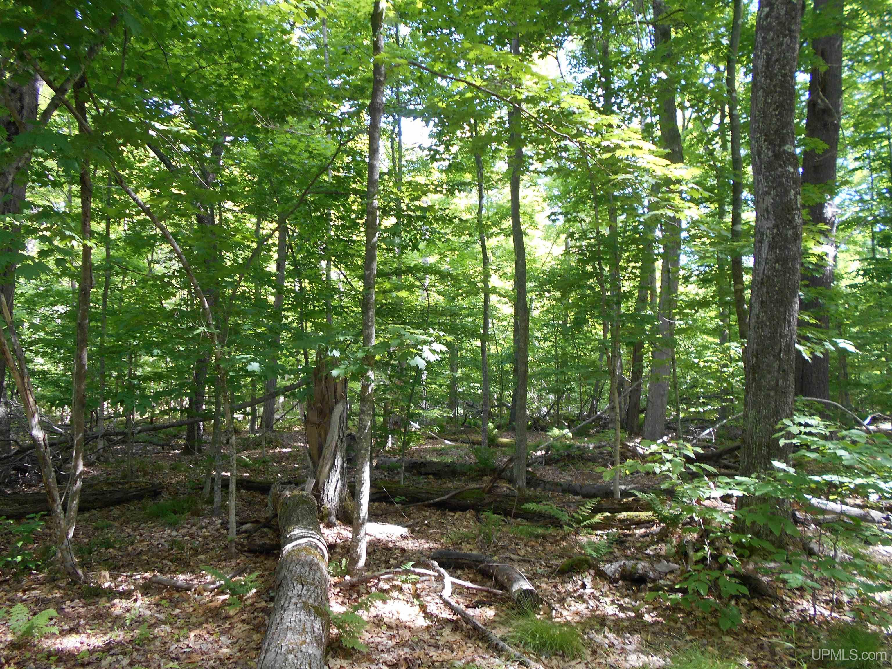 main property photo 38