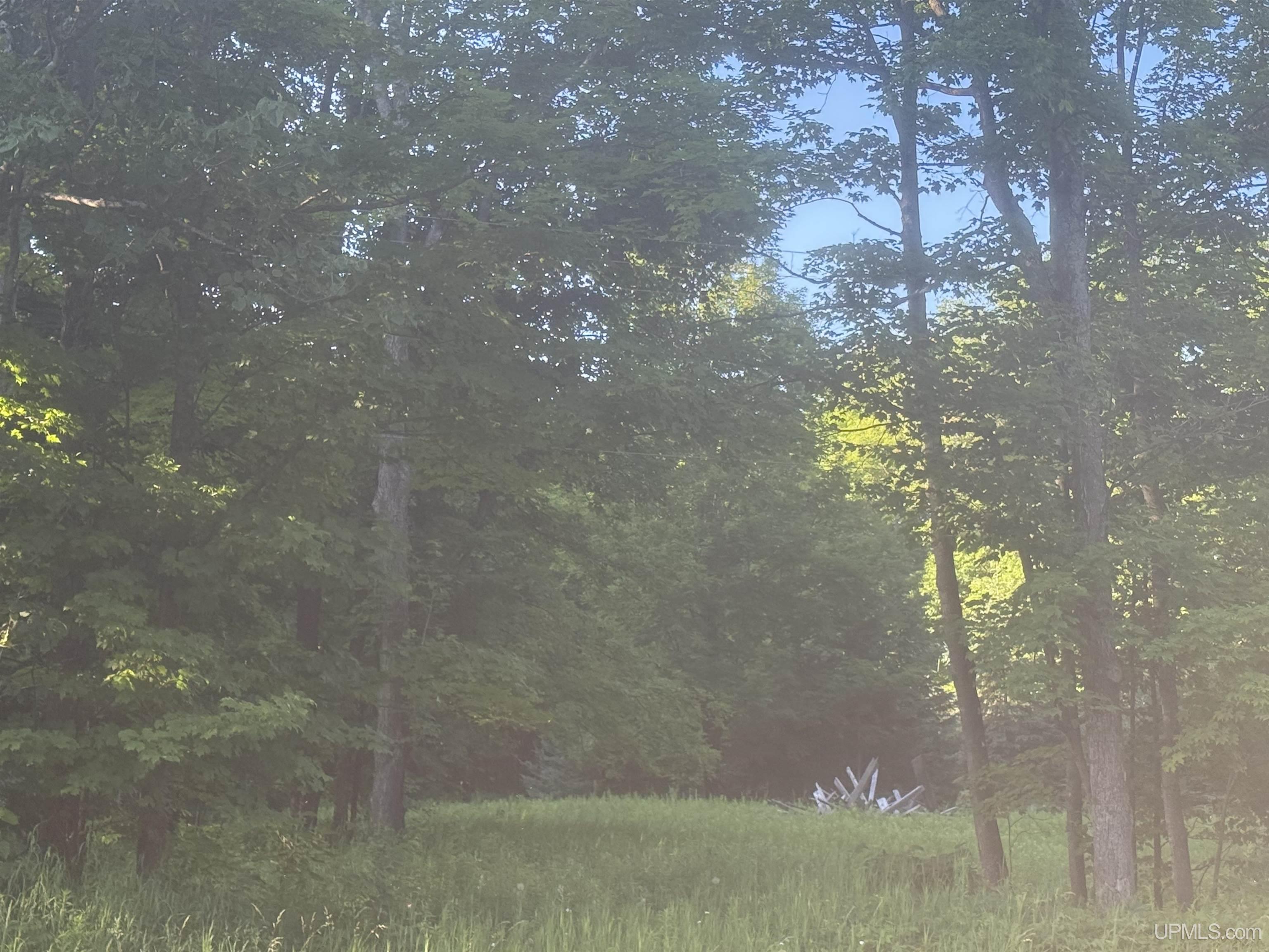 main property photo 0