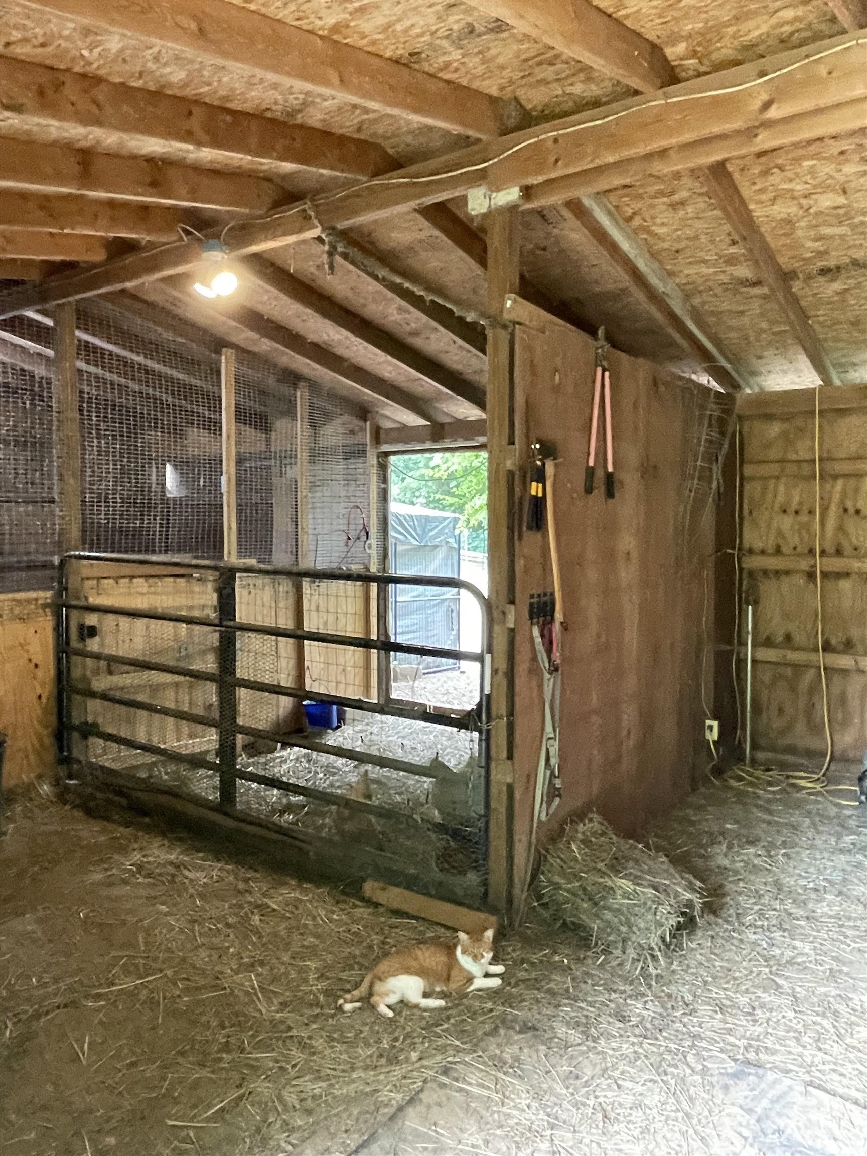 main property photo 71