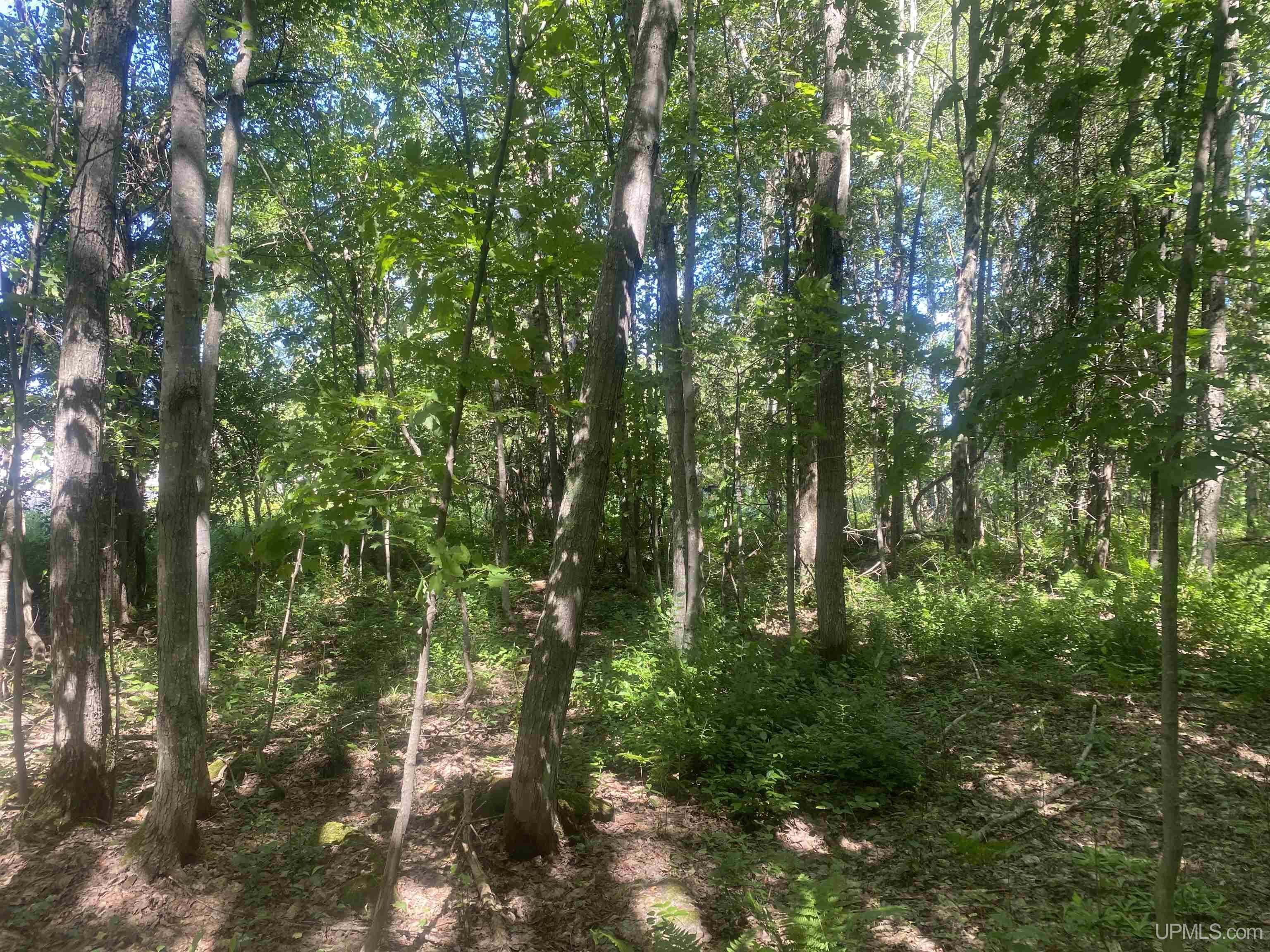 main property photo 22