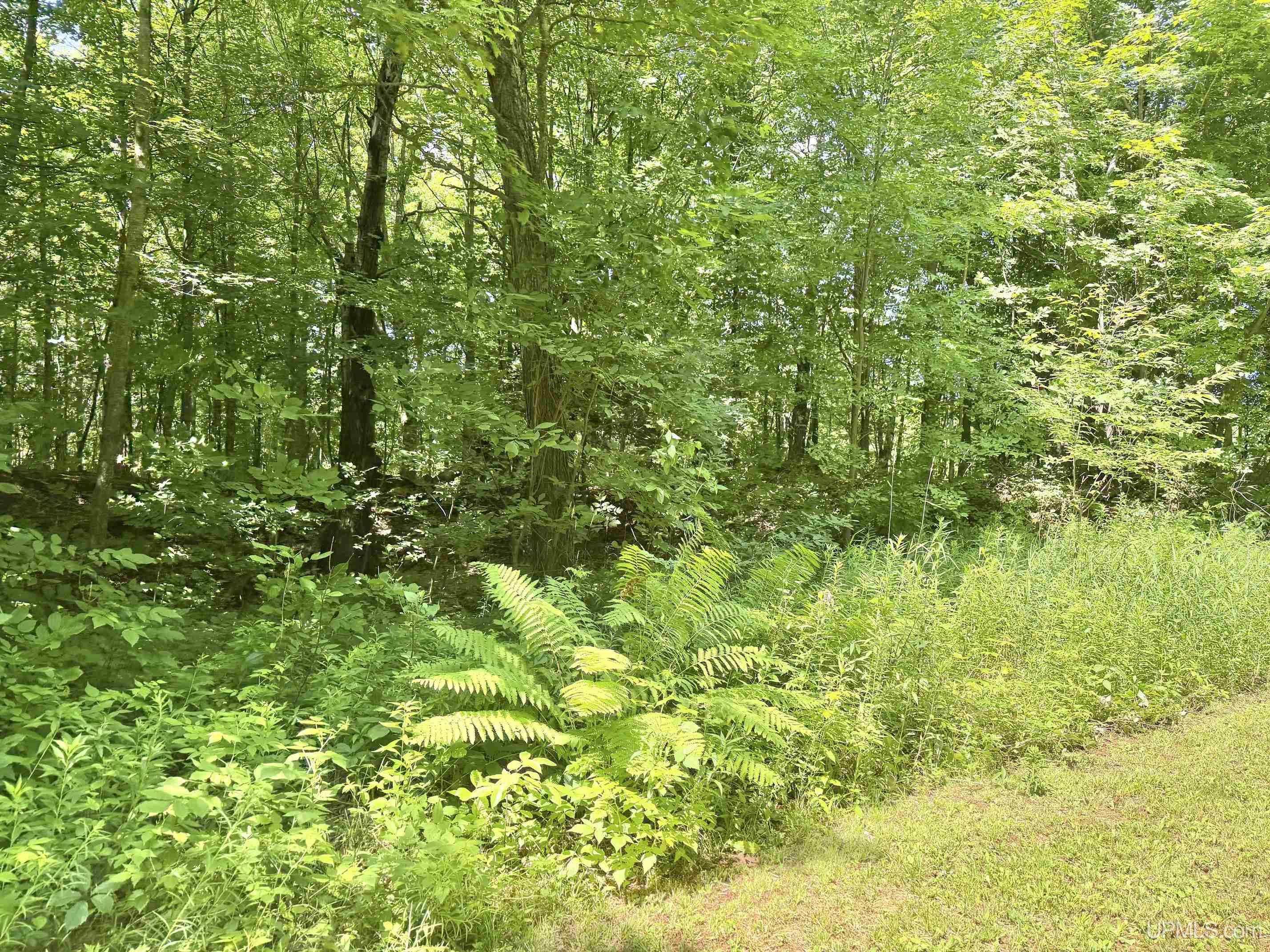 main property photo 60