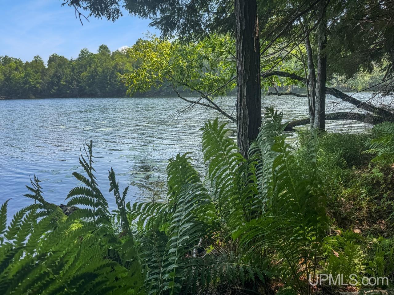 main property photo 43