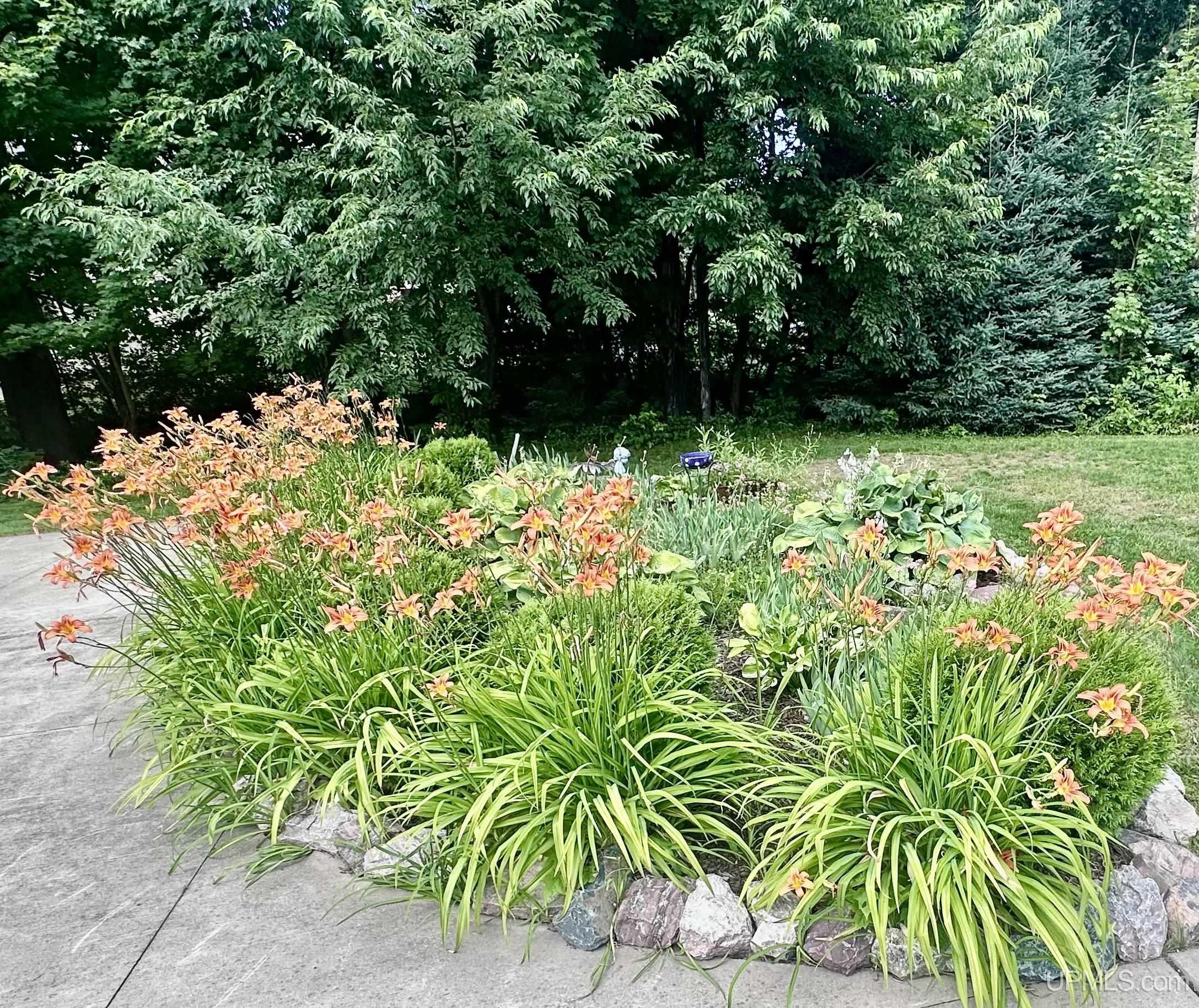 main property photo 62