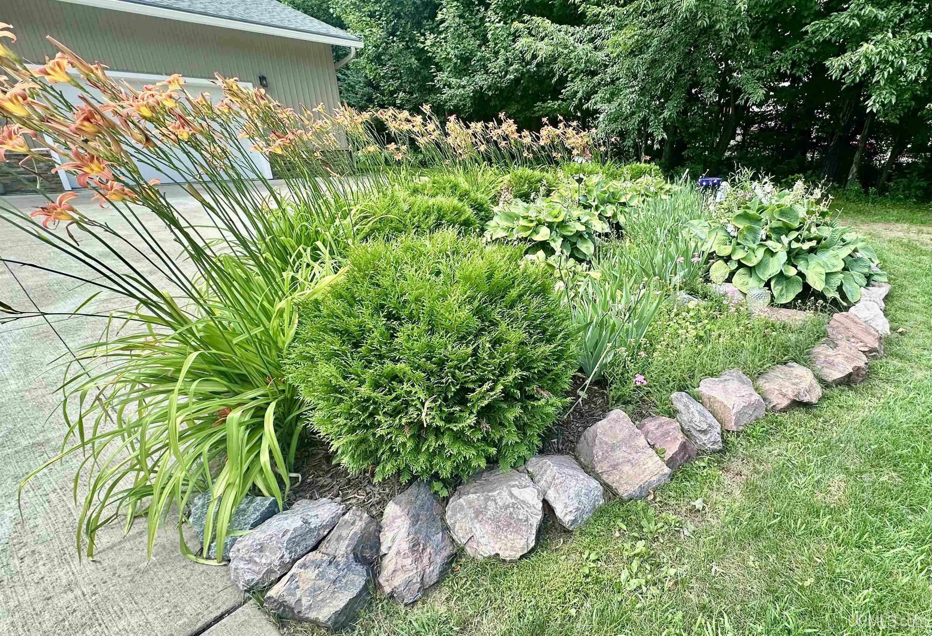 main property photo 63