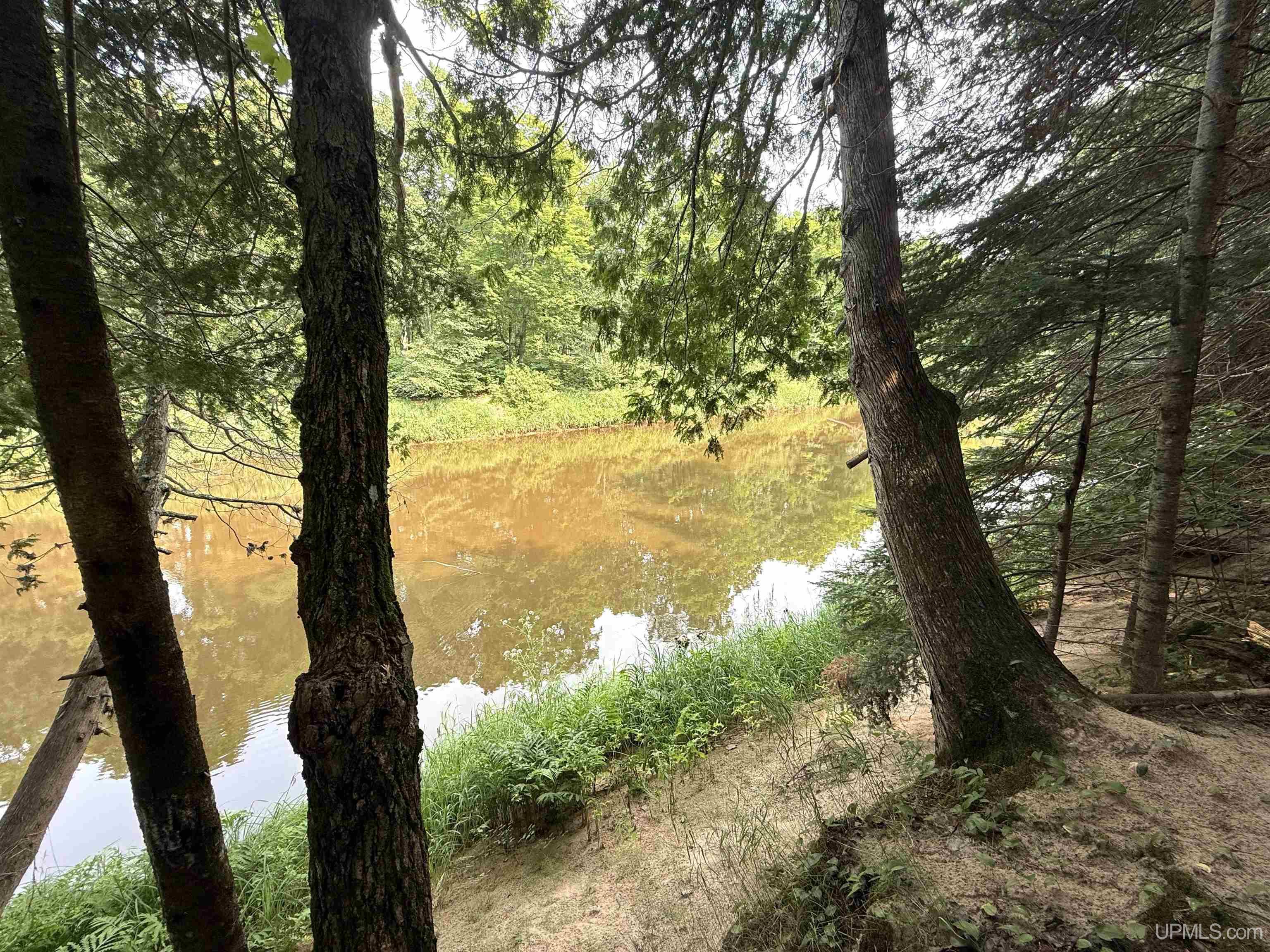 main property photo 50