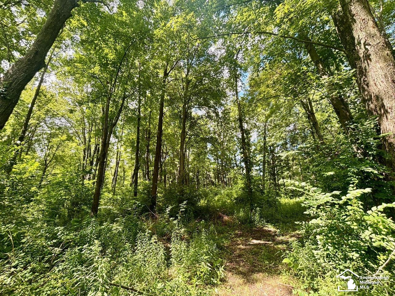 main property photo 49