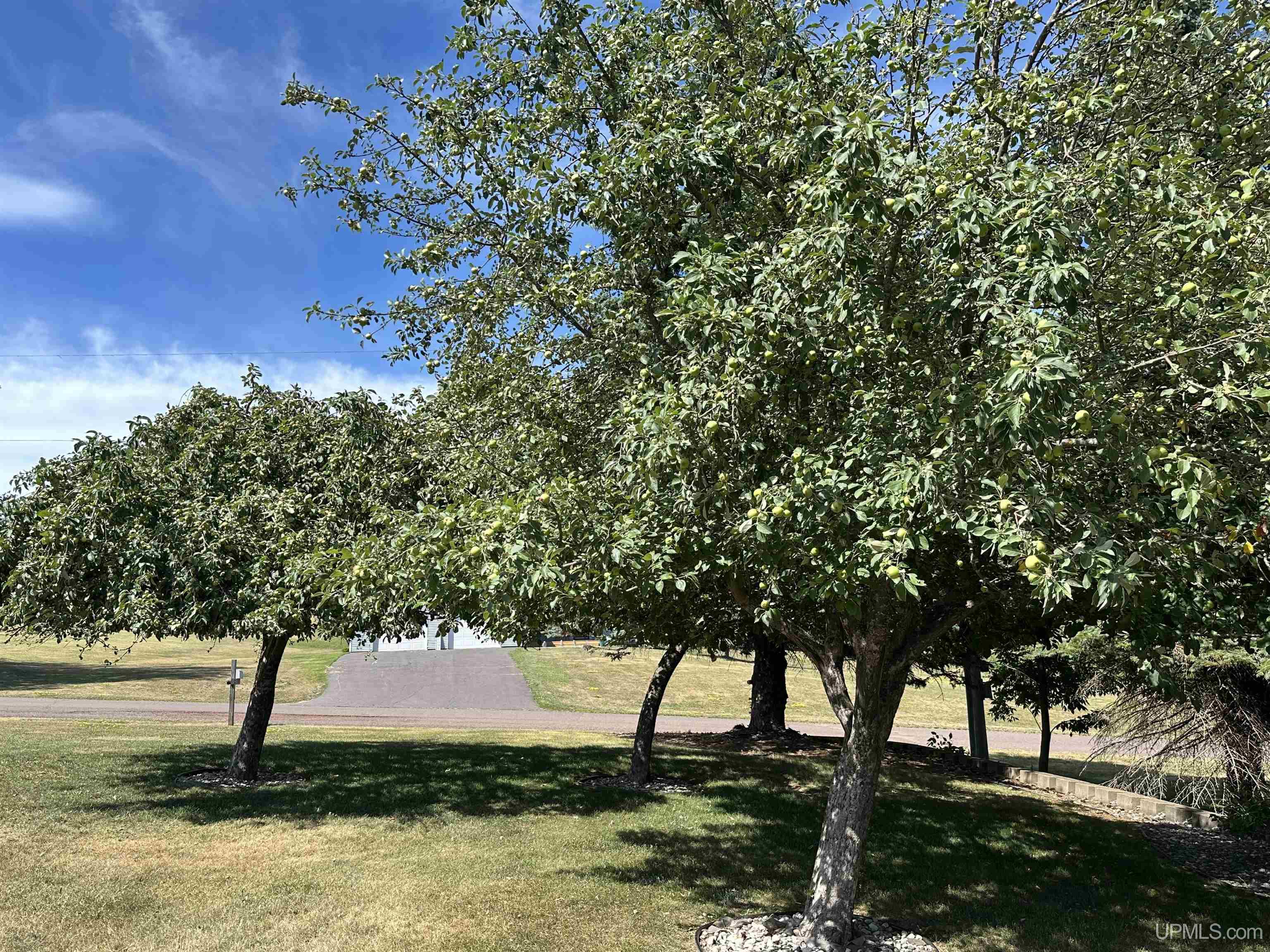 main property photo 83