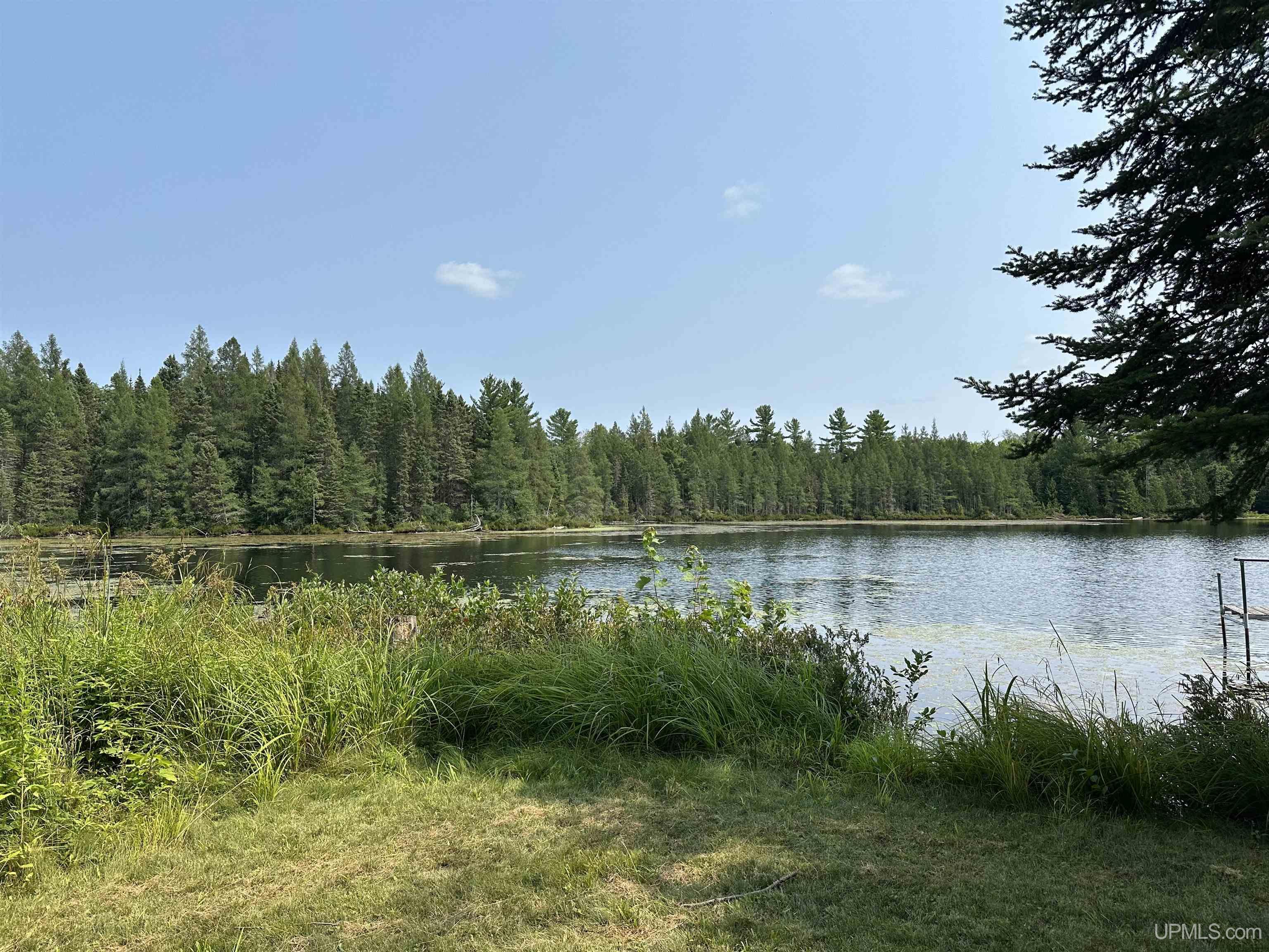main property photo 46