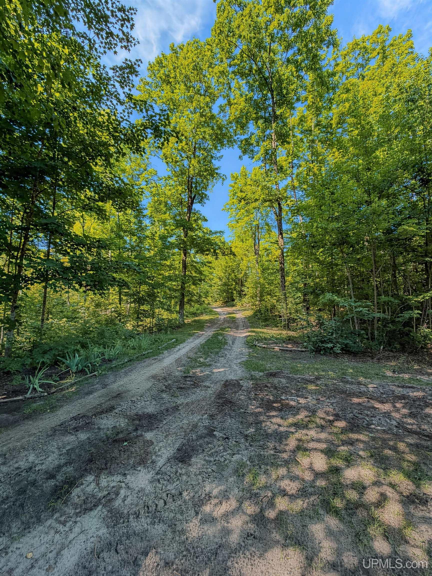 main property photo 20