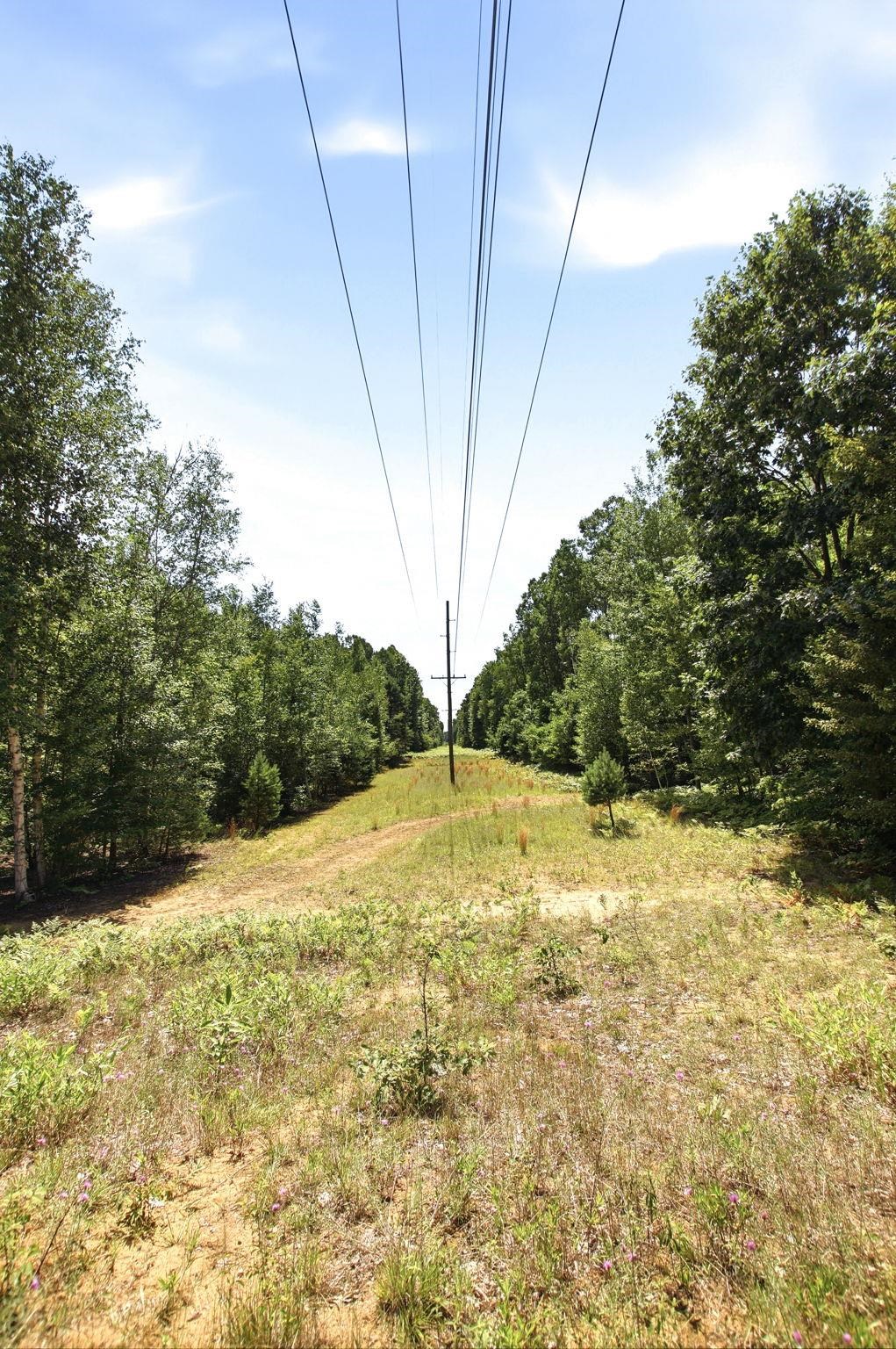 main property photo 50