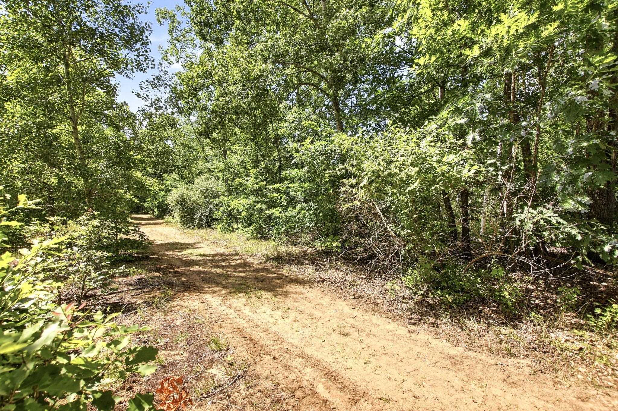main property photo 58