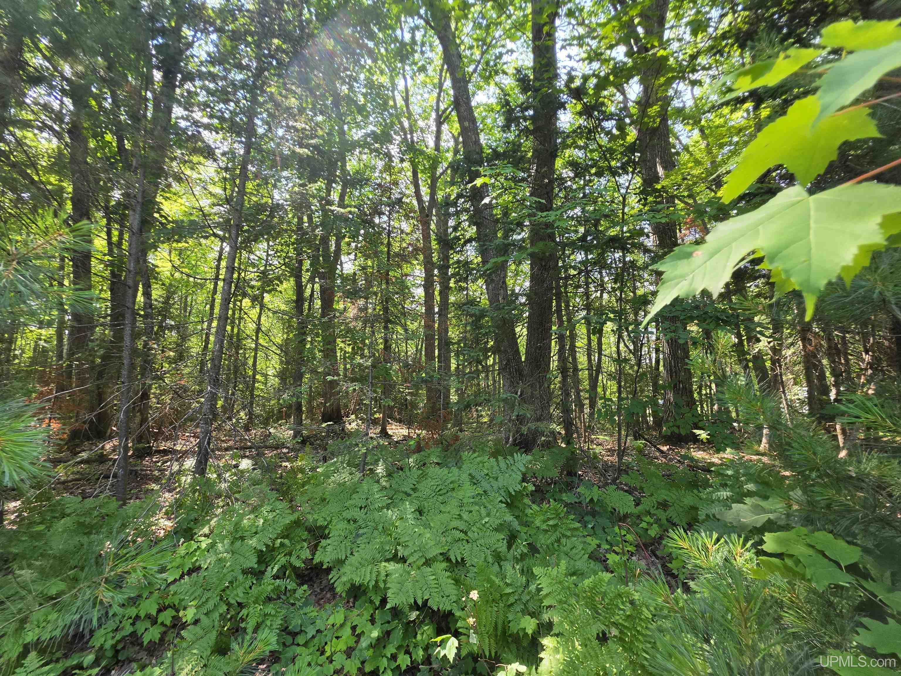 main property photo 13