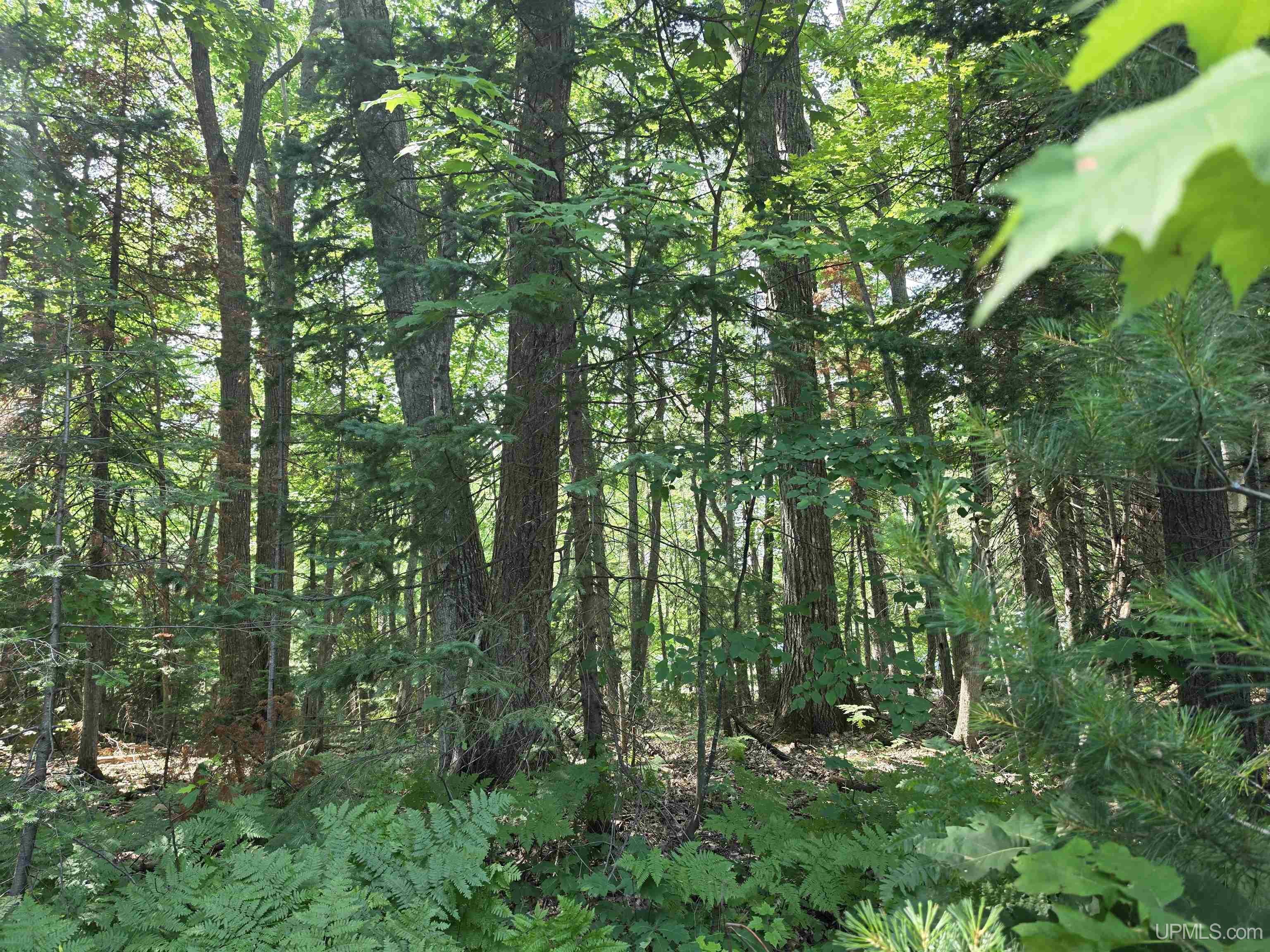 main property photo 14