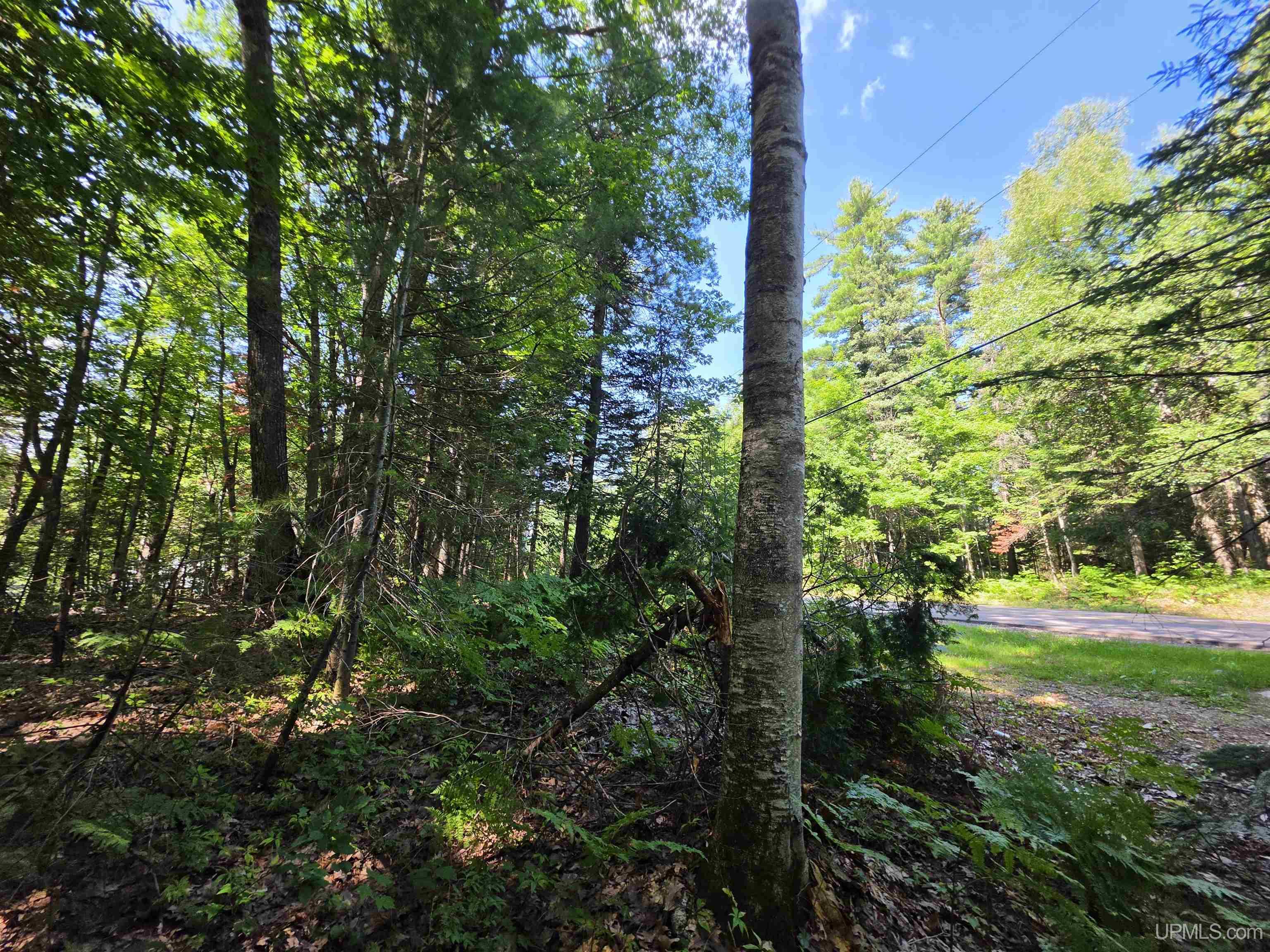 main property photo 16