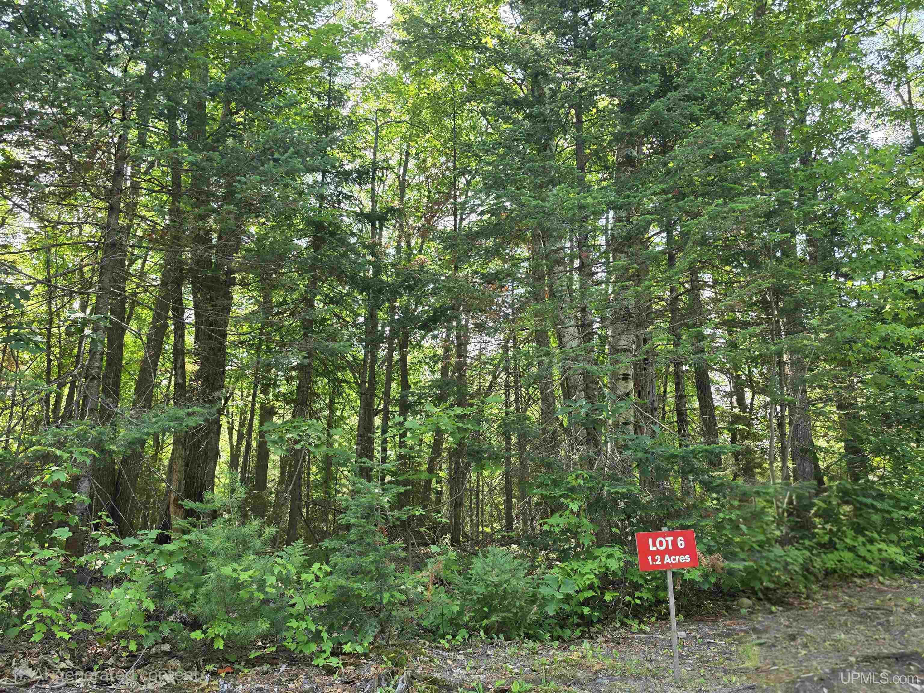 main property photo 6