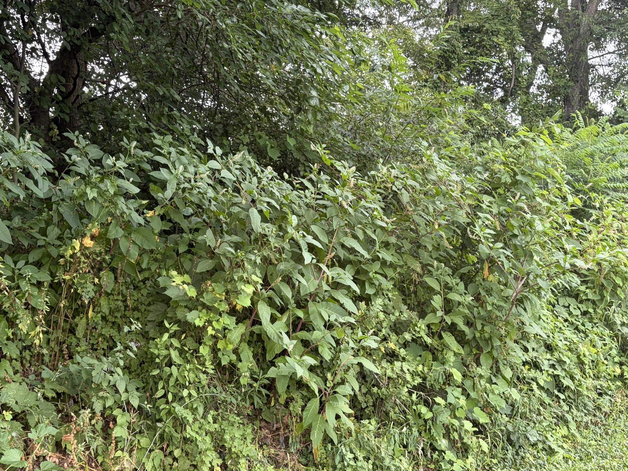 main property photo 57