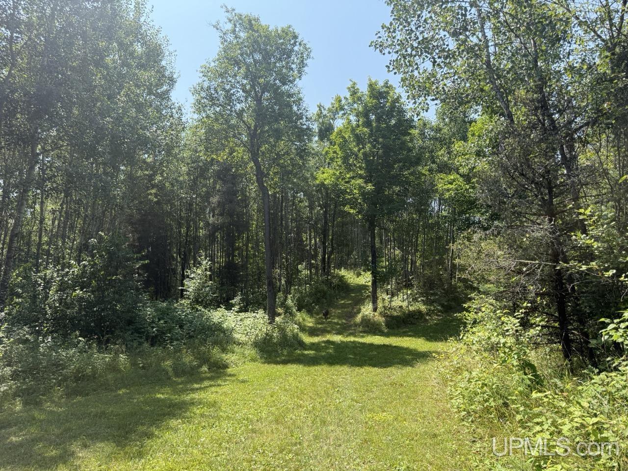 main property photo 10