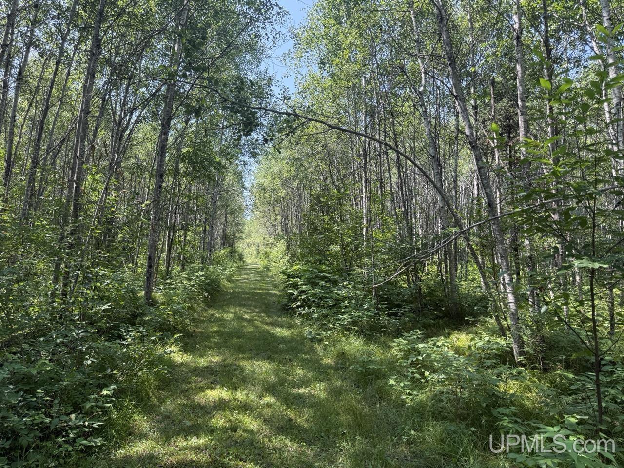 main property photo 11