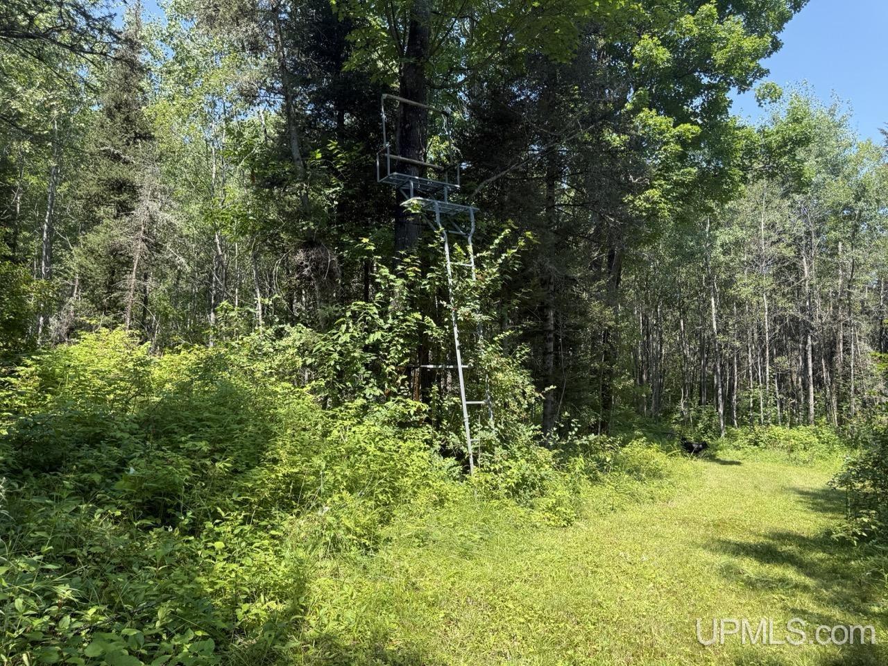 main property photo 9