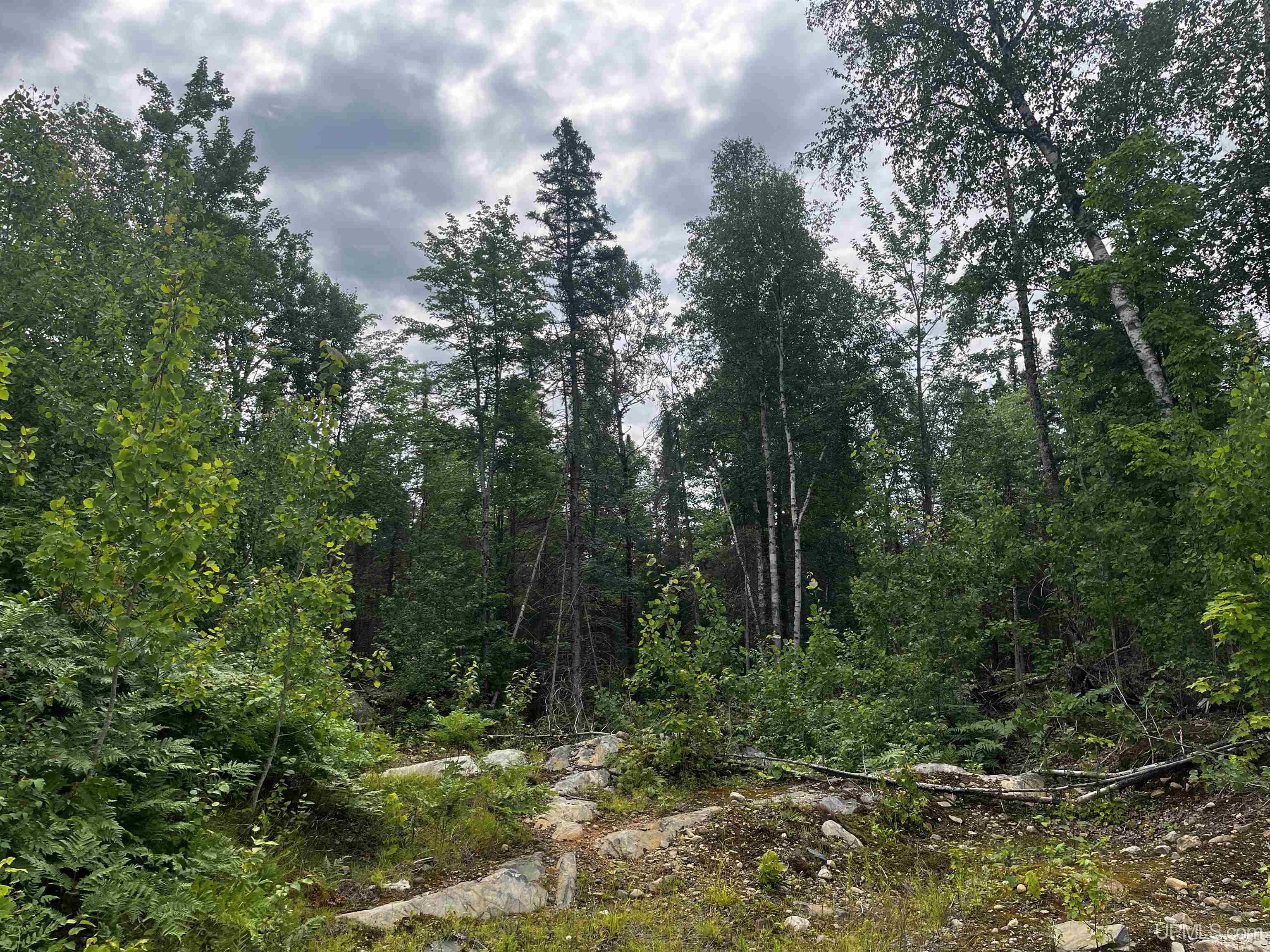 main property photo 11