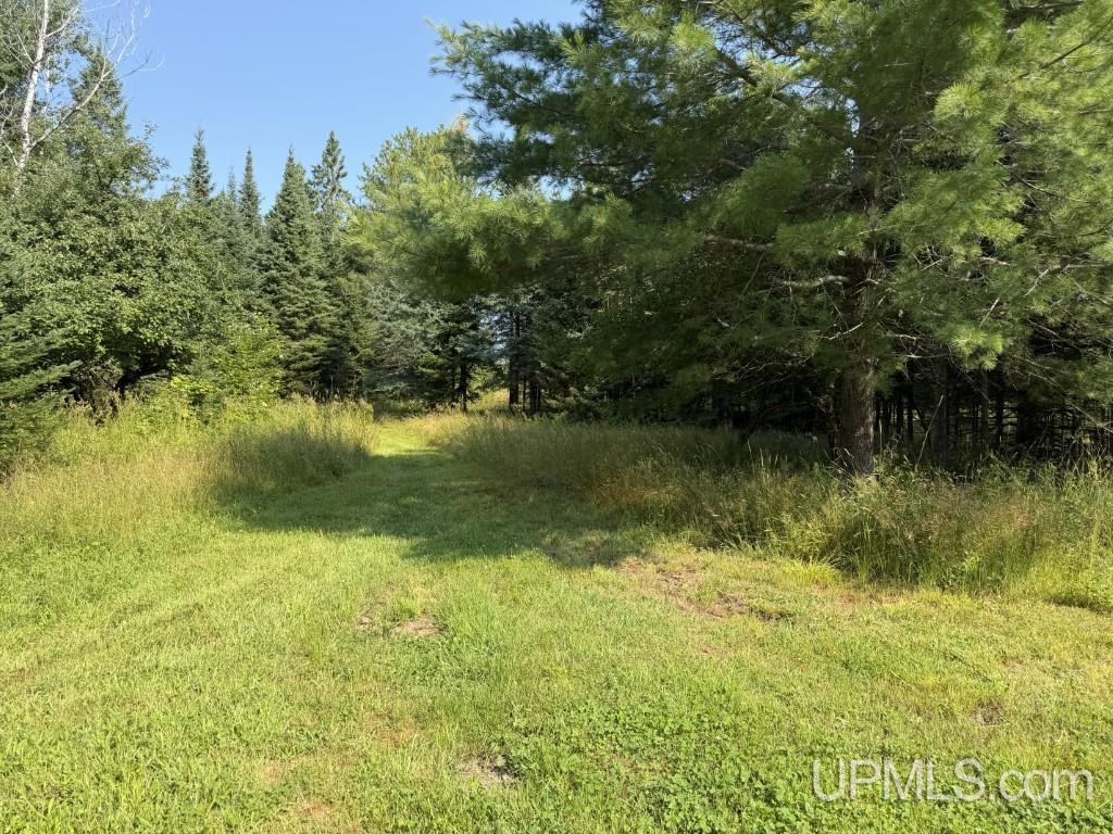 main property photo 40