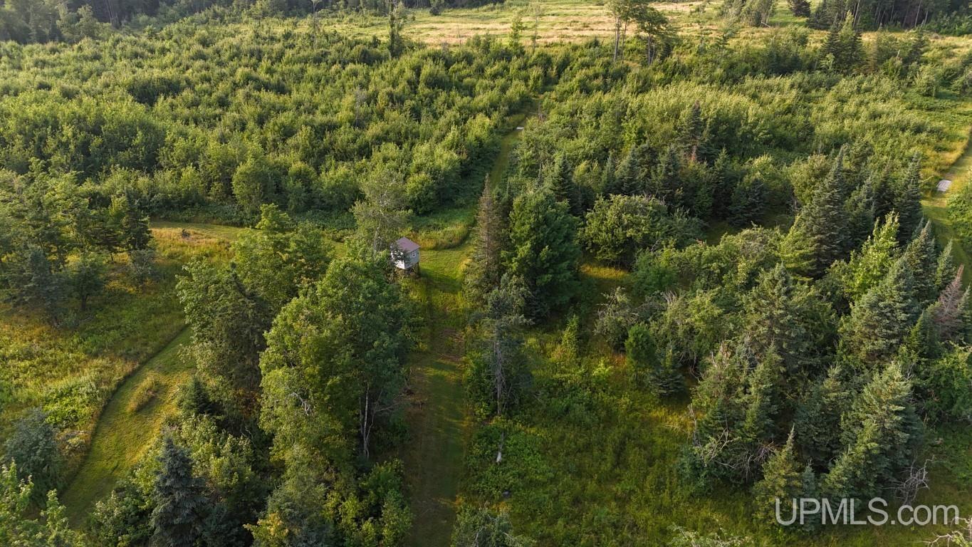 main property photo 54