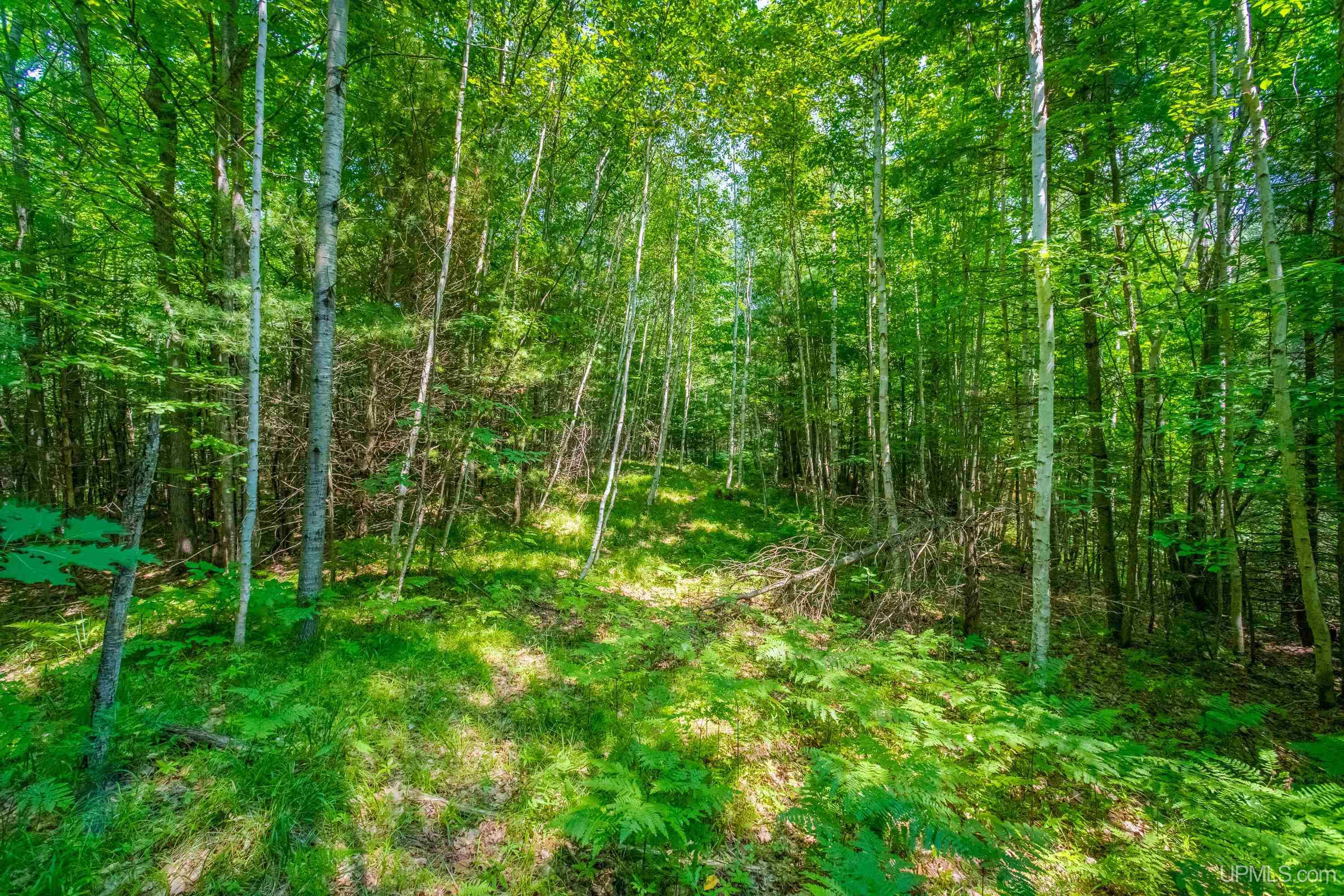 main property photo 26