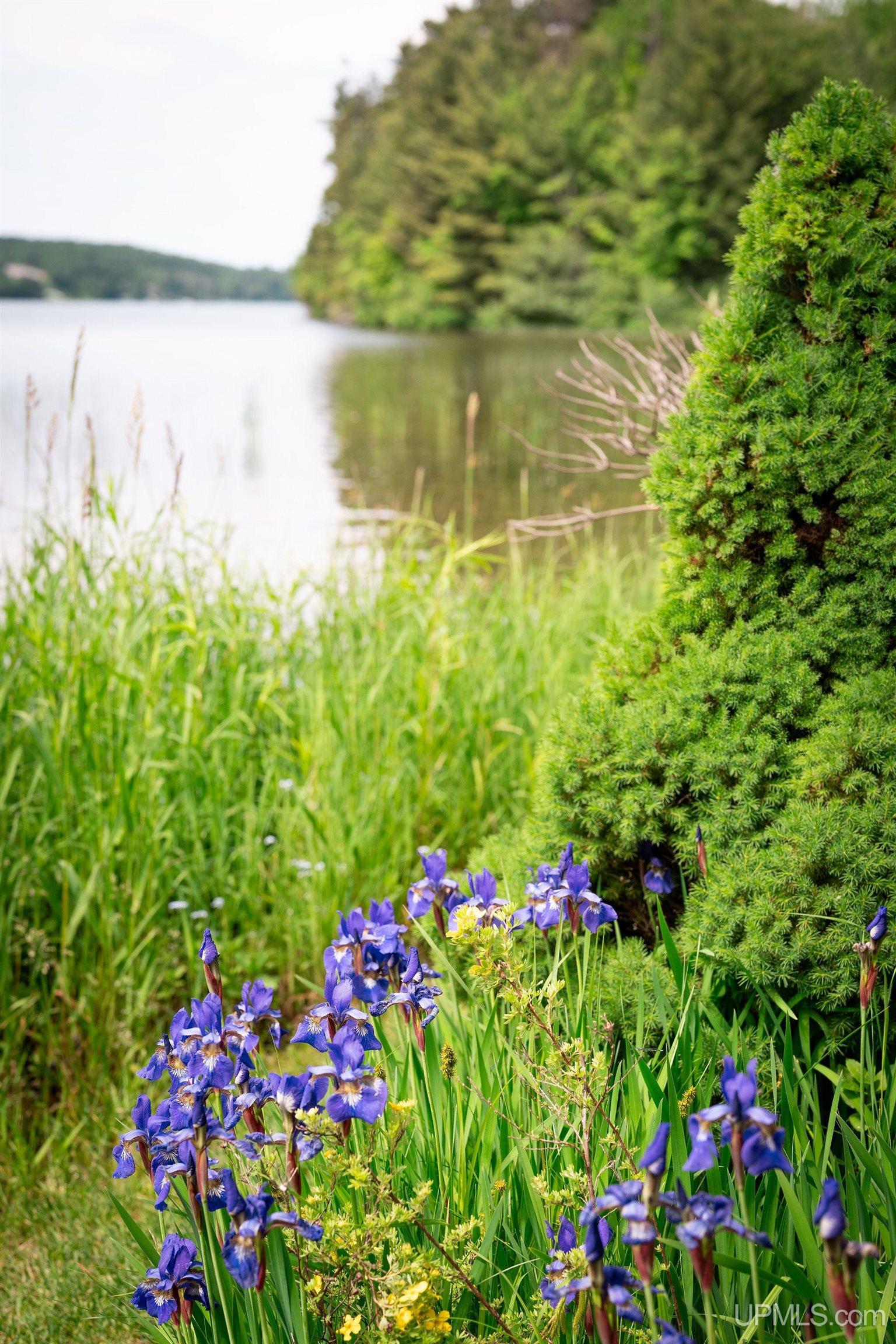 main property photo 80