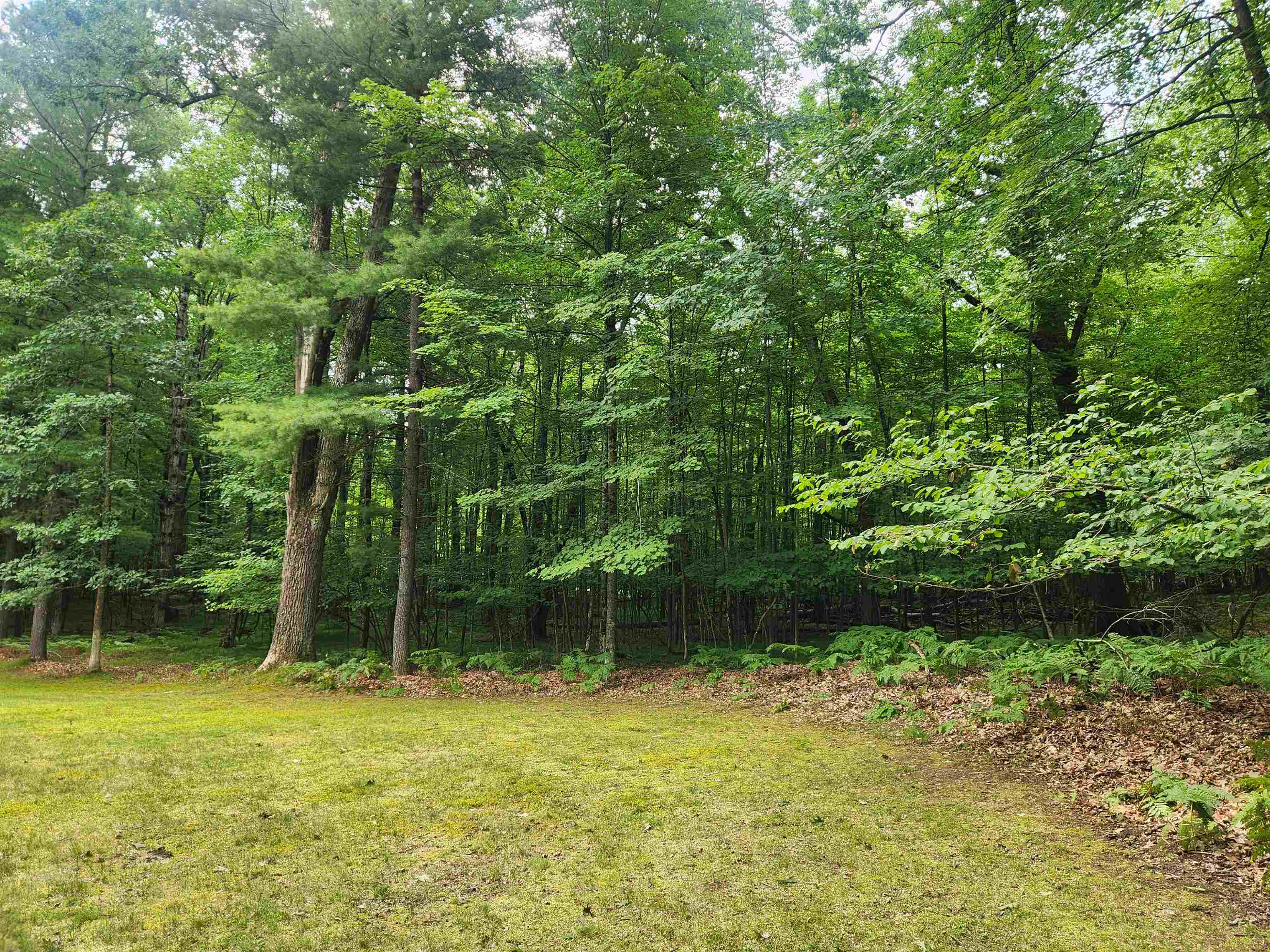 main property photo 56