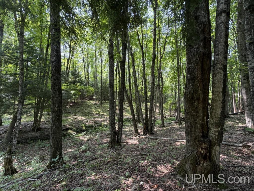 main property photo 18