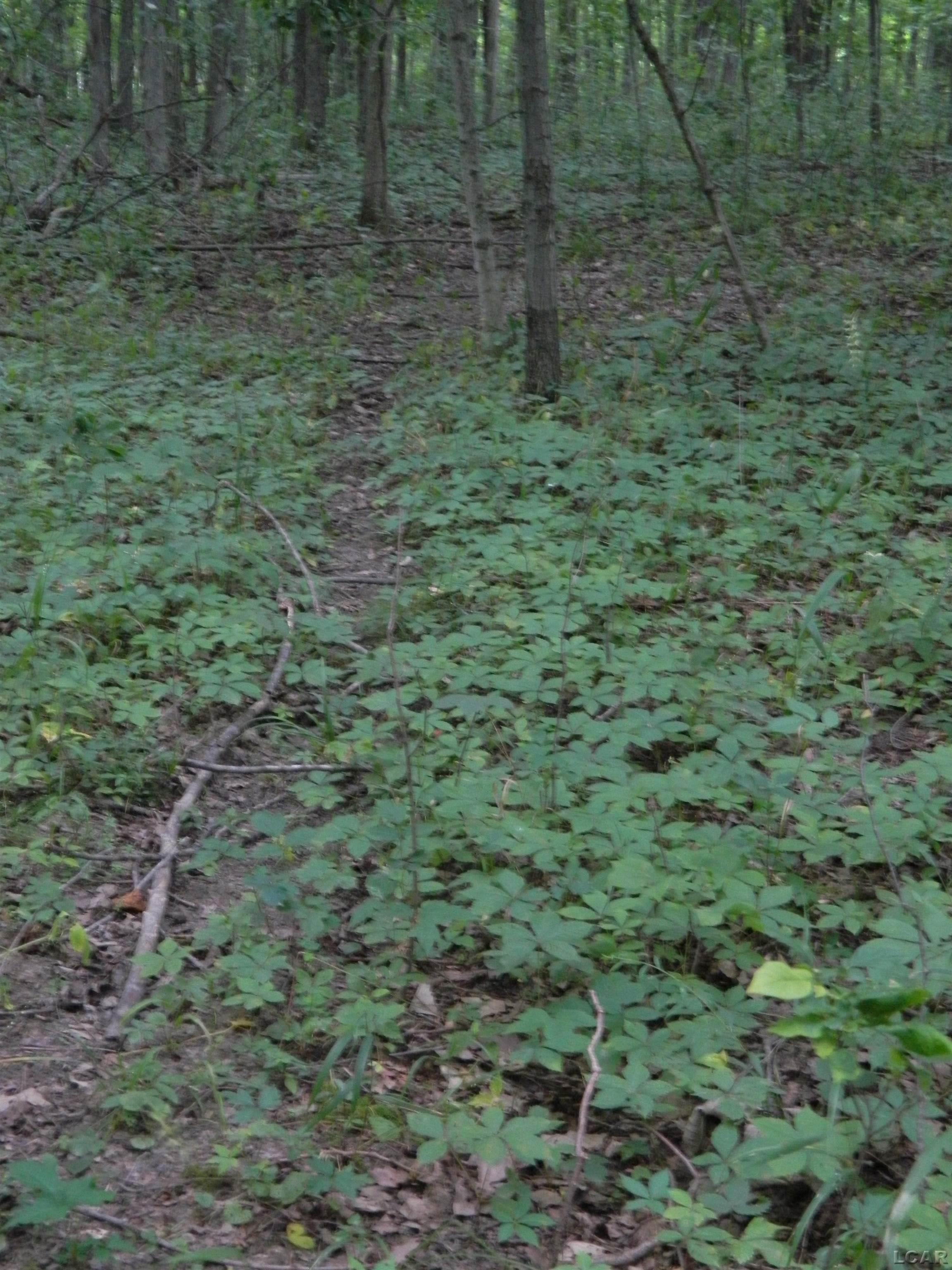 main property photo 34