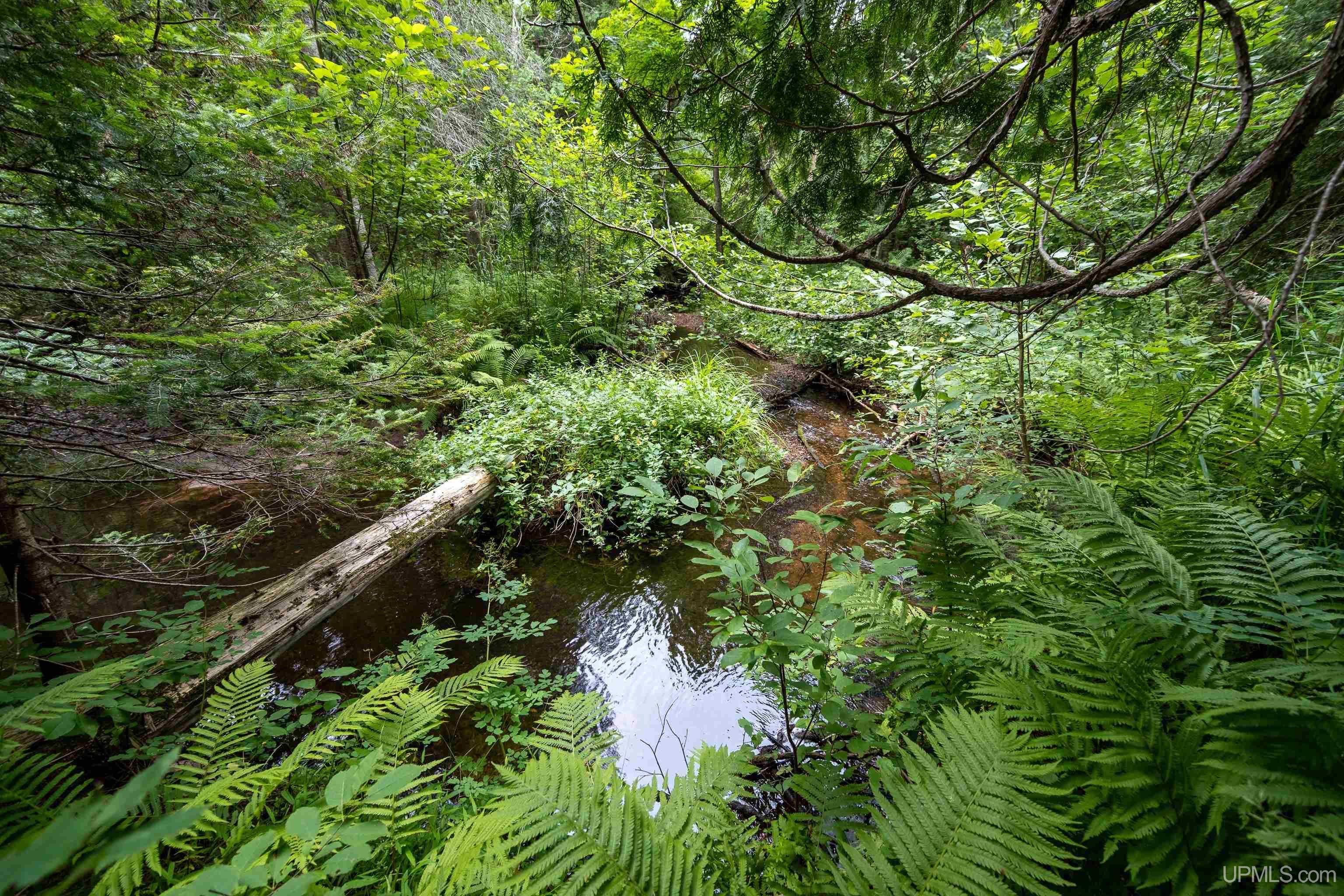 main property photo 66